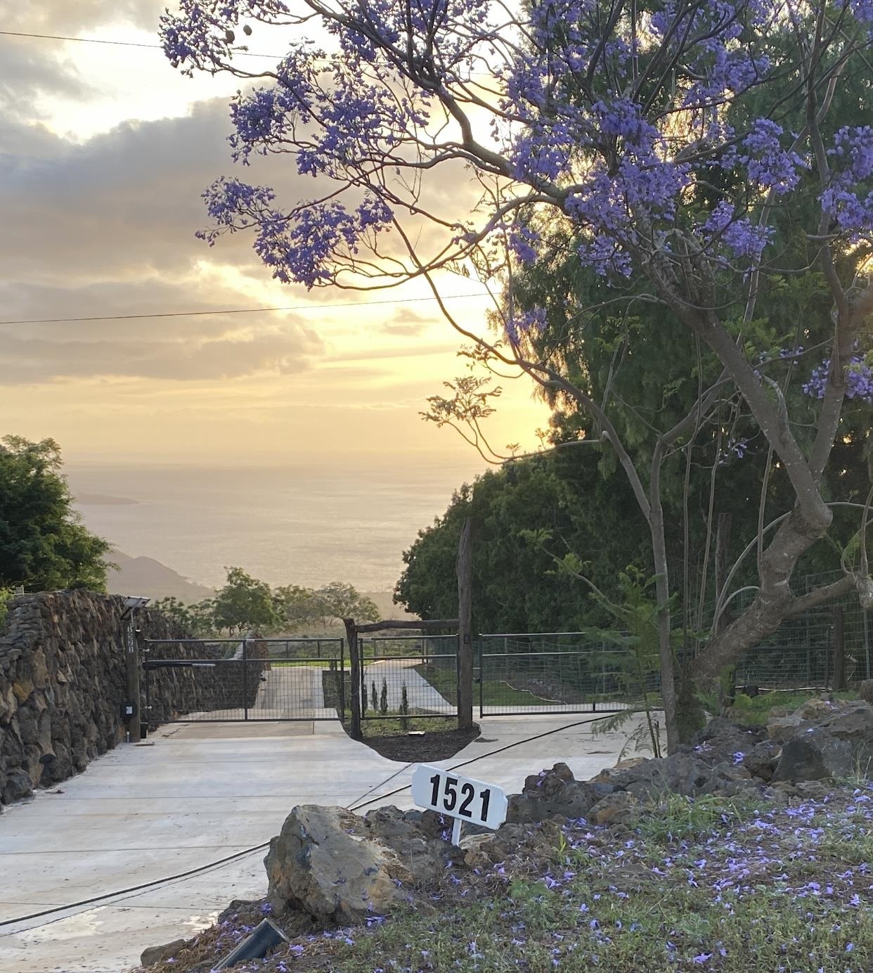 1521 Kanaio-kalama Park Rd Lot A Kula, Hi vacant land for sale - photo 4 of 30