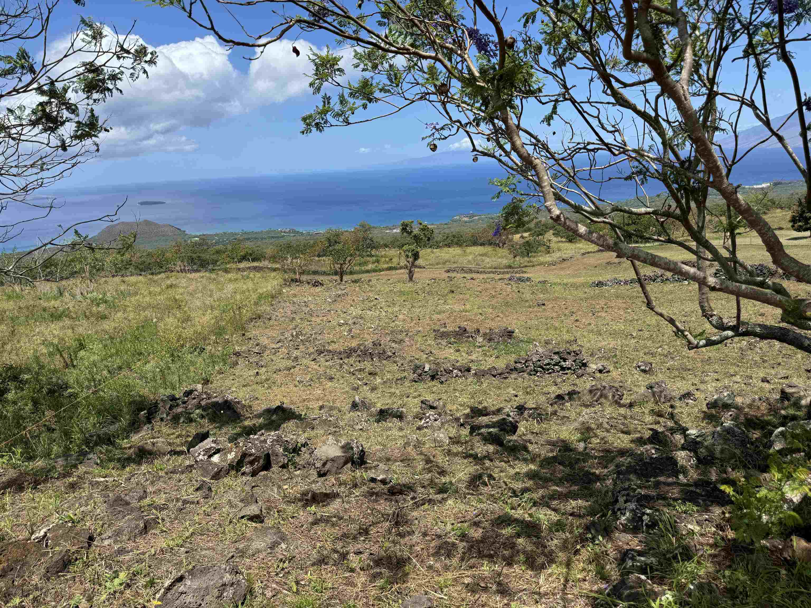 1521 Kanaio-kalama Park Rd Lot A Kula, Hi vacant land for sale - photo 9 of 30