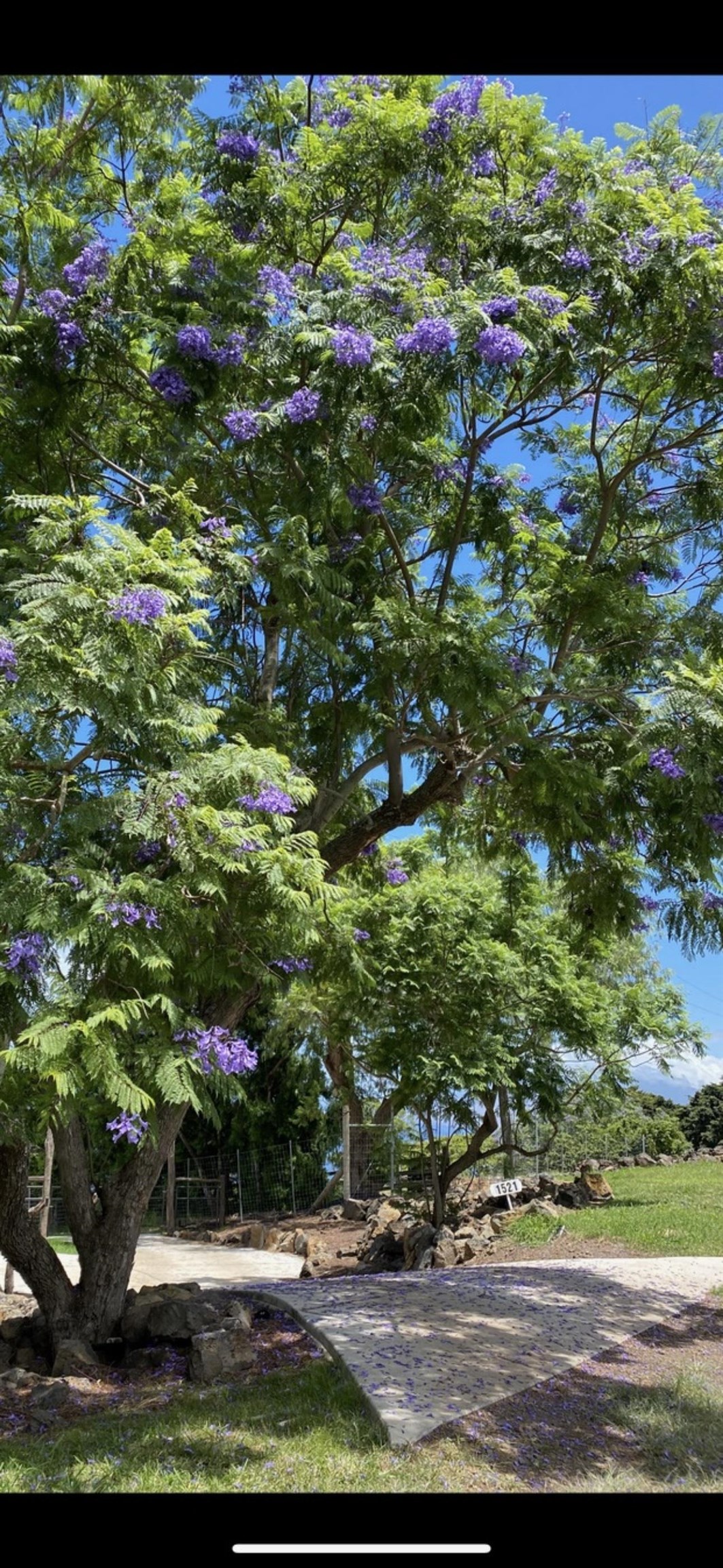 1521 Kanaio-kalama Park Rd Lot A Kula, Hi vacant land for sale - photo 10 of 30