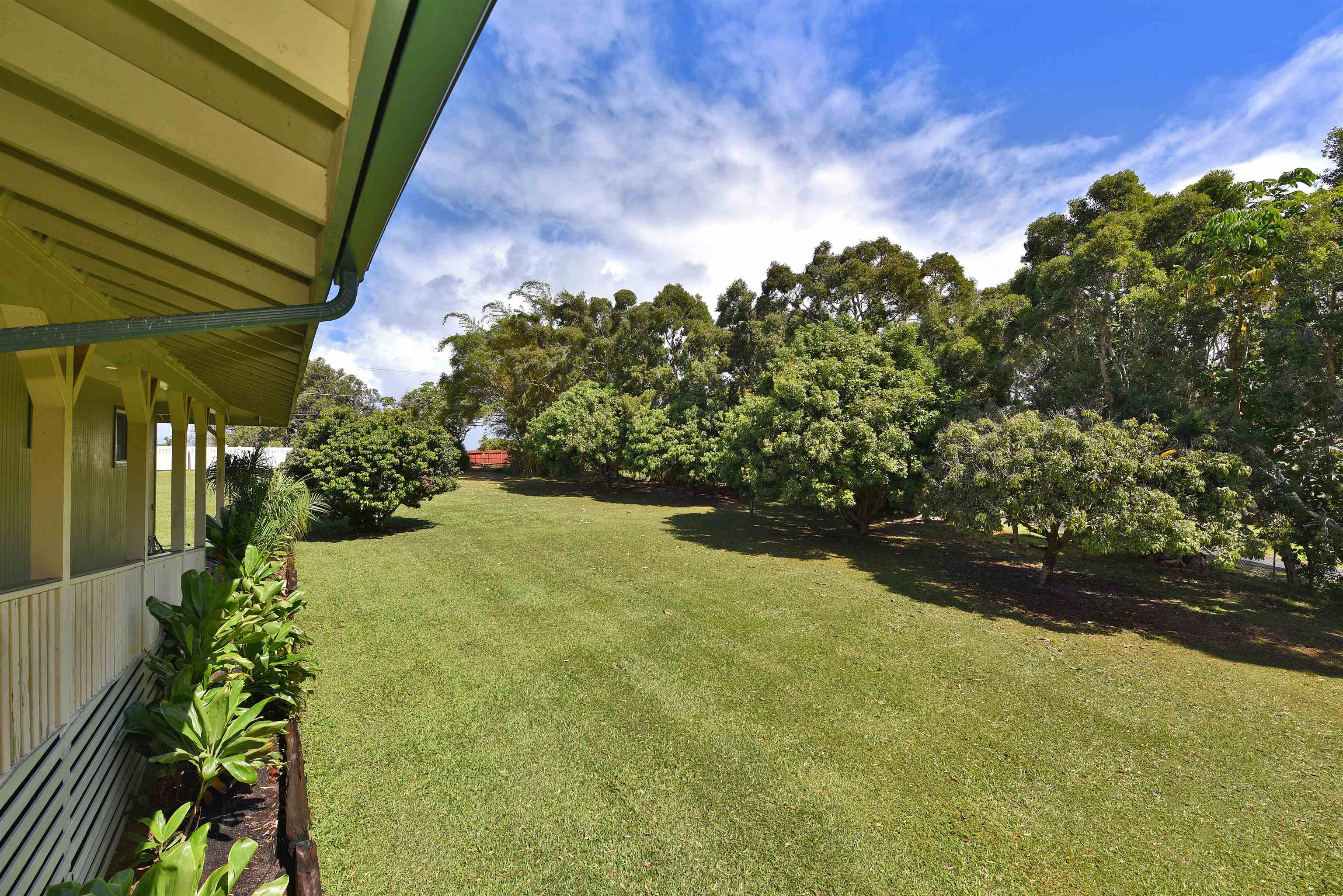 1525  Kaupakalua Rd Haiku, Haiku home - photo 14 of 48