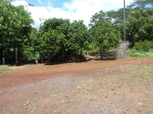 1525  Pakali Pl , Lanai home - photo 27 of 33