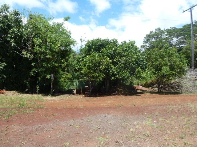 1525  Pakali Pl , Lanai home - photo 28 of 33