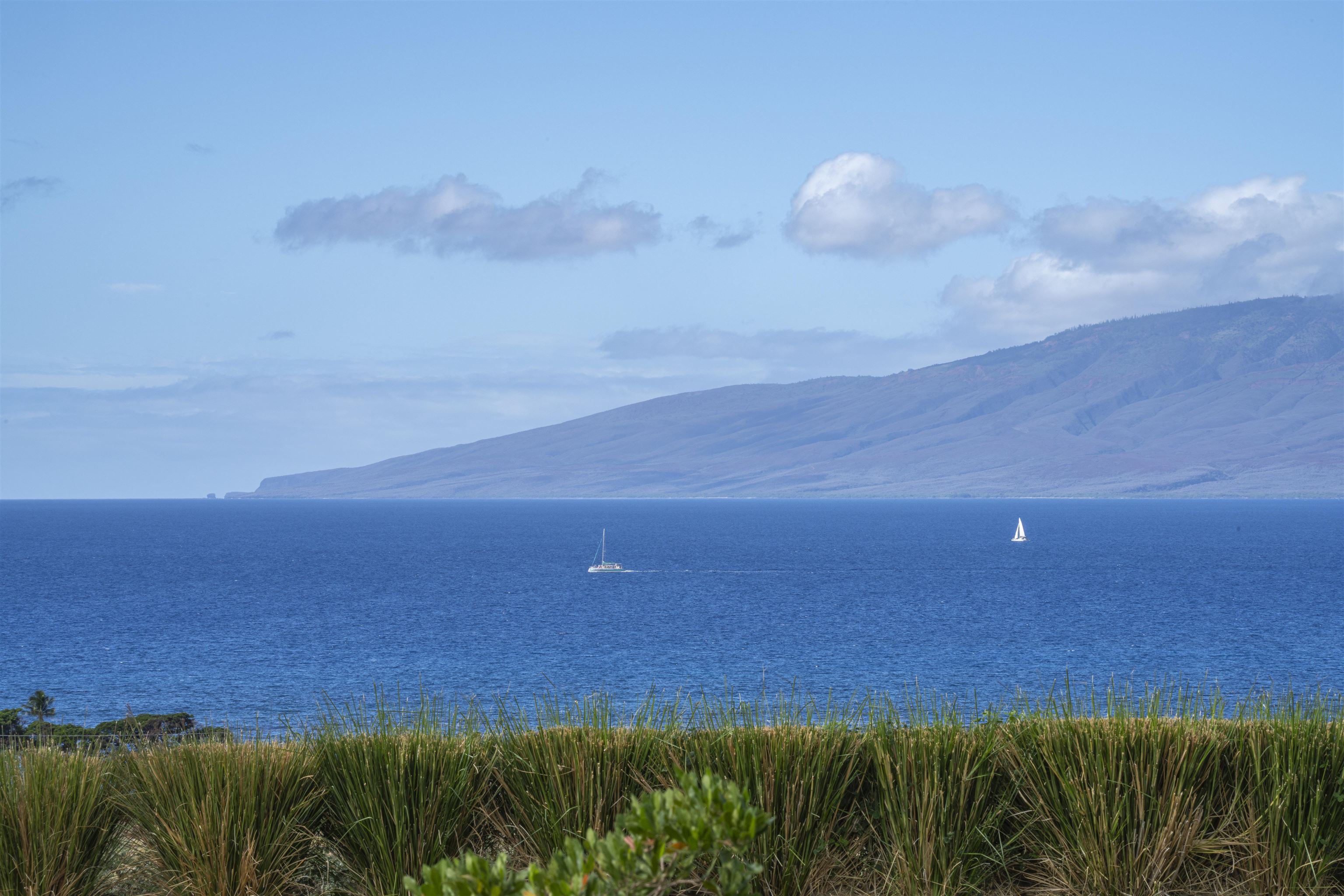 153  Haniu St , Lahaina home - photo 31 of 41
