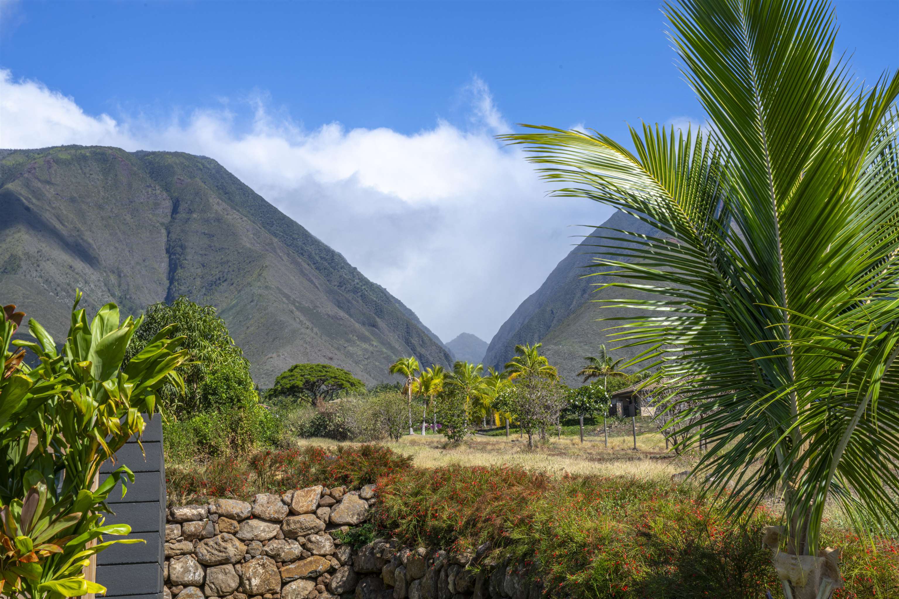 153  Haniu St , Lahaina home - photo 38 of 41