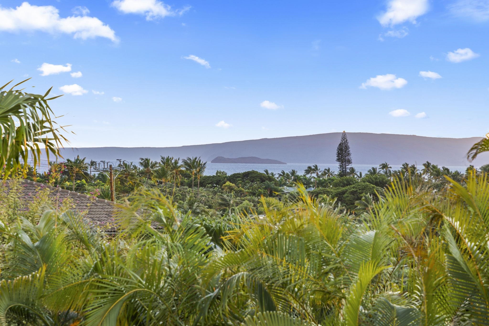 153  Hokai Pl South Kihei, Kihei home - photo 4 of 50