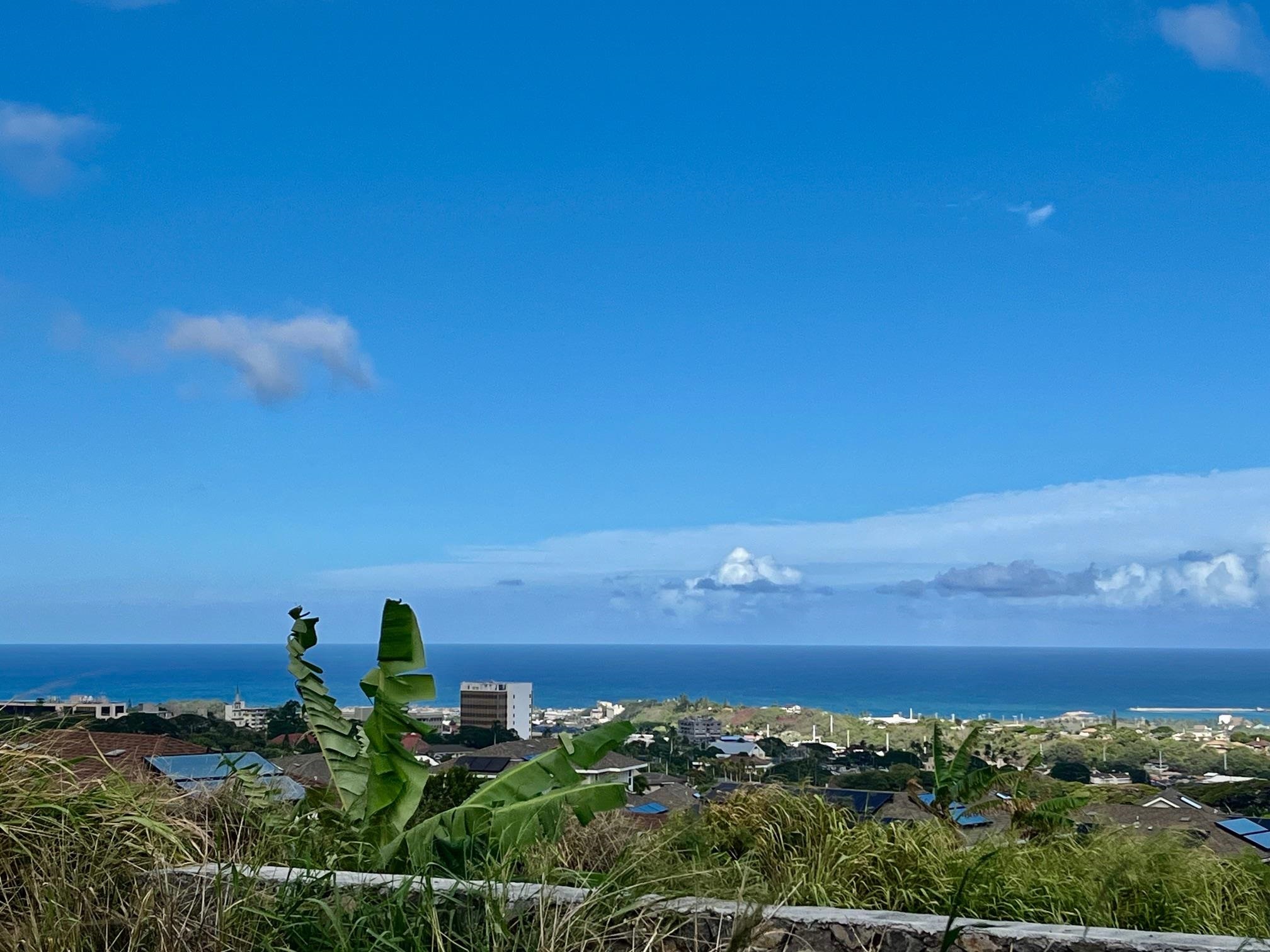 153  Pua Kalaunu Loop Kehalani, Wailuku home - photo 2 of 36