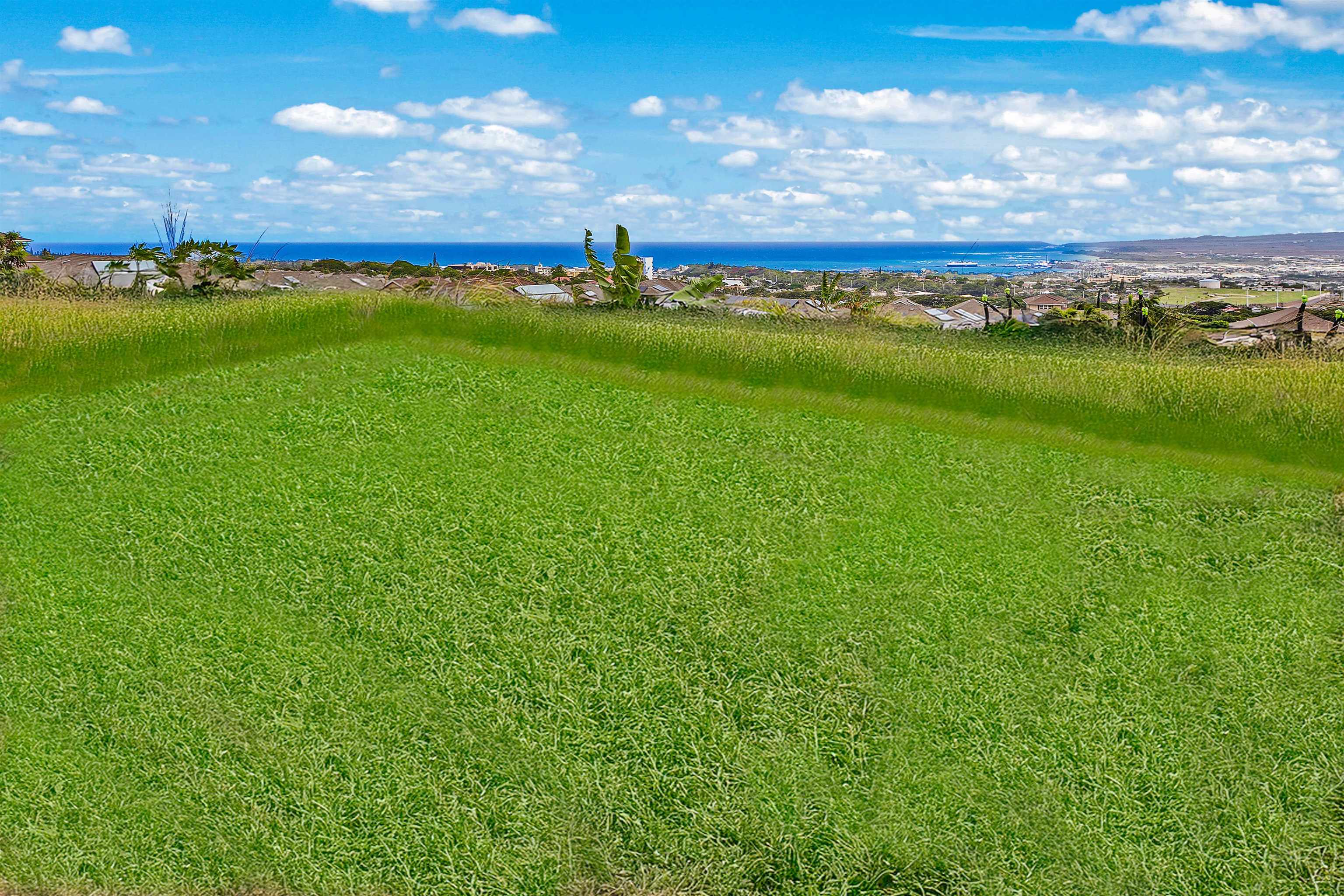 153  Pua Kalaunu Loop Kehalani, Wailuku home - photo 28 of 36