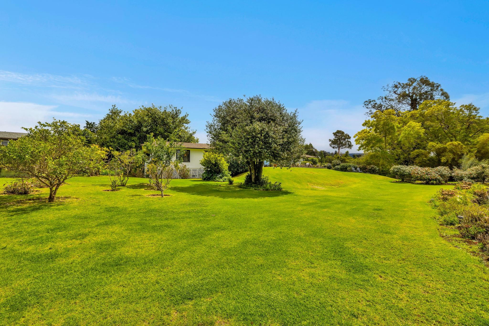 1530A  Kamehameiki St , Kula/Ulupalakua/Kanaio home - photo 45 of 49