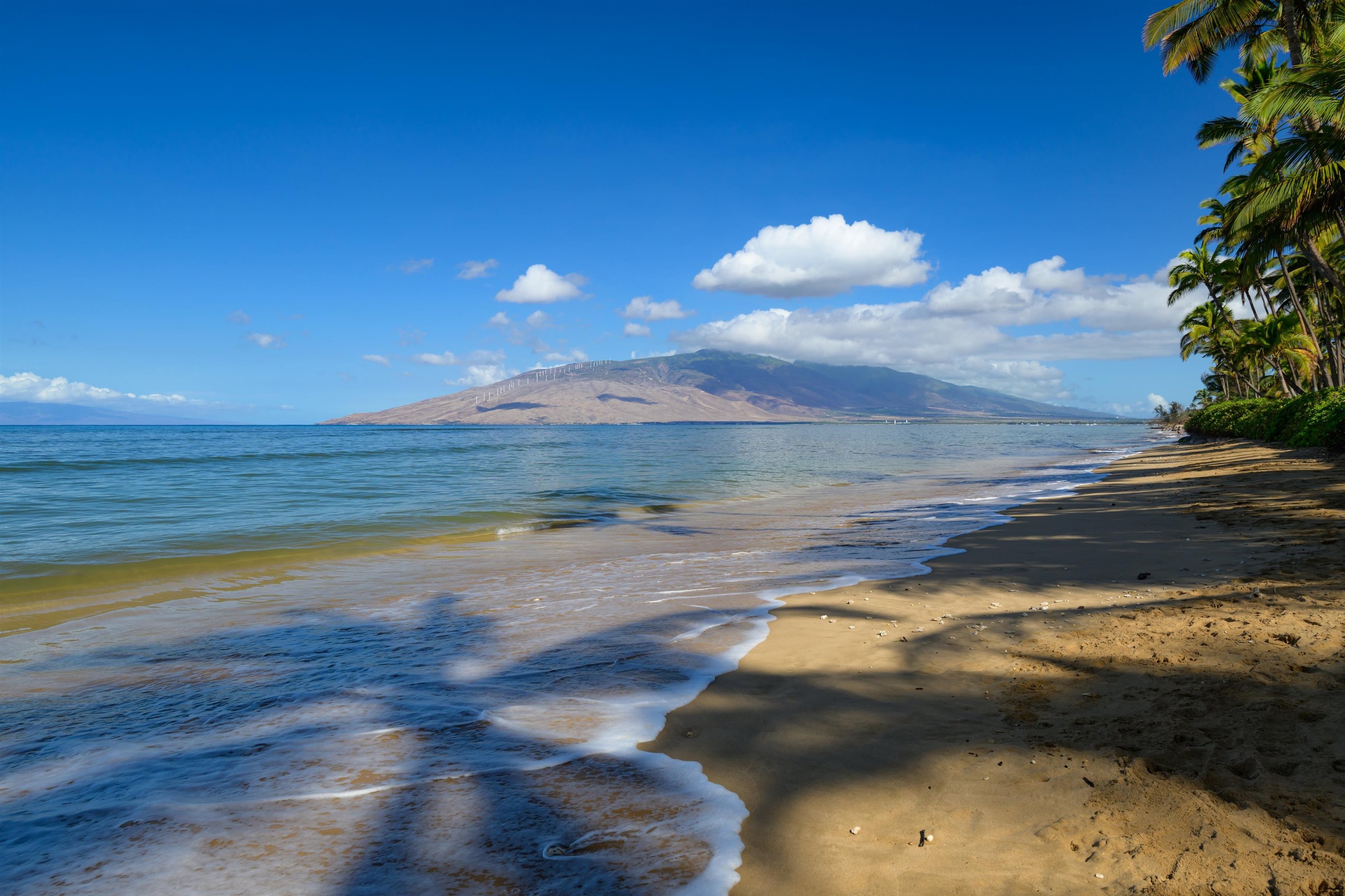 1536  Halama St Halama Street, Kihei home - photo 5 of 44