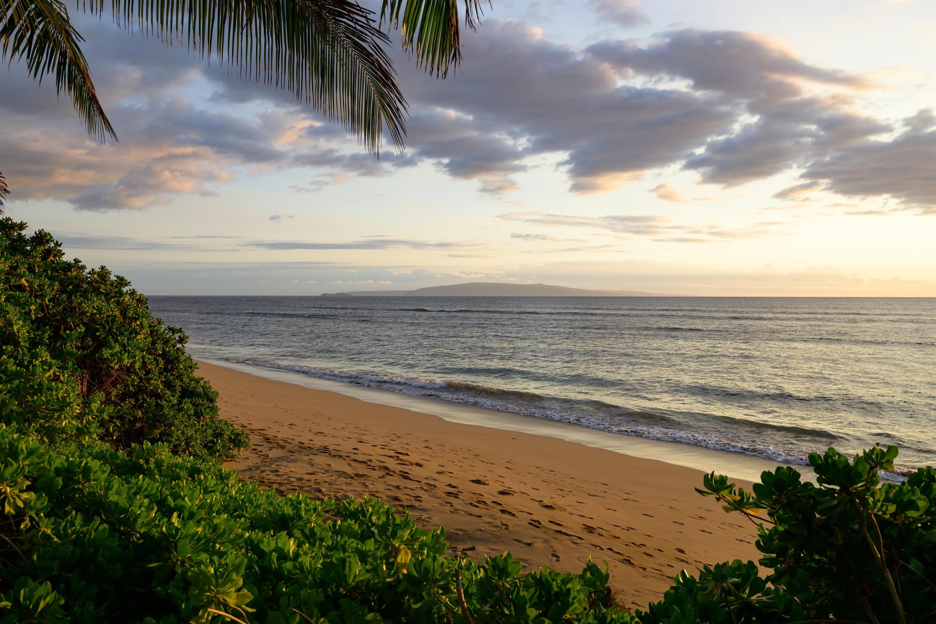 1536  Halama St Halama Street, Kihei home - photo 43 of 44