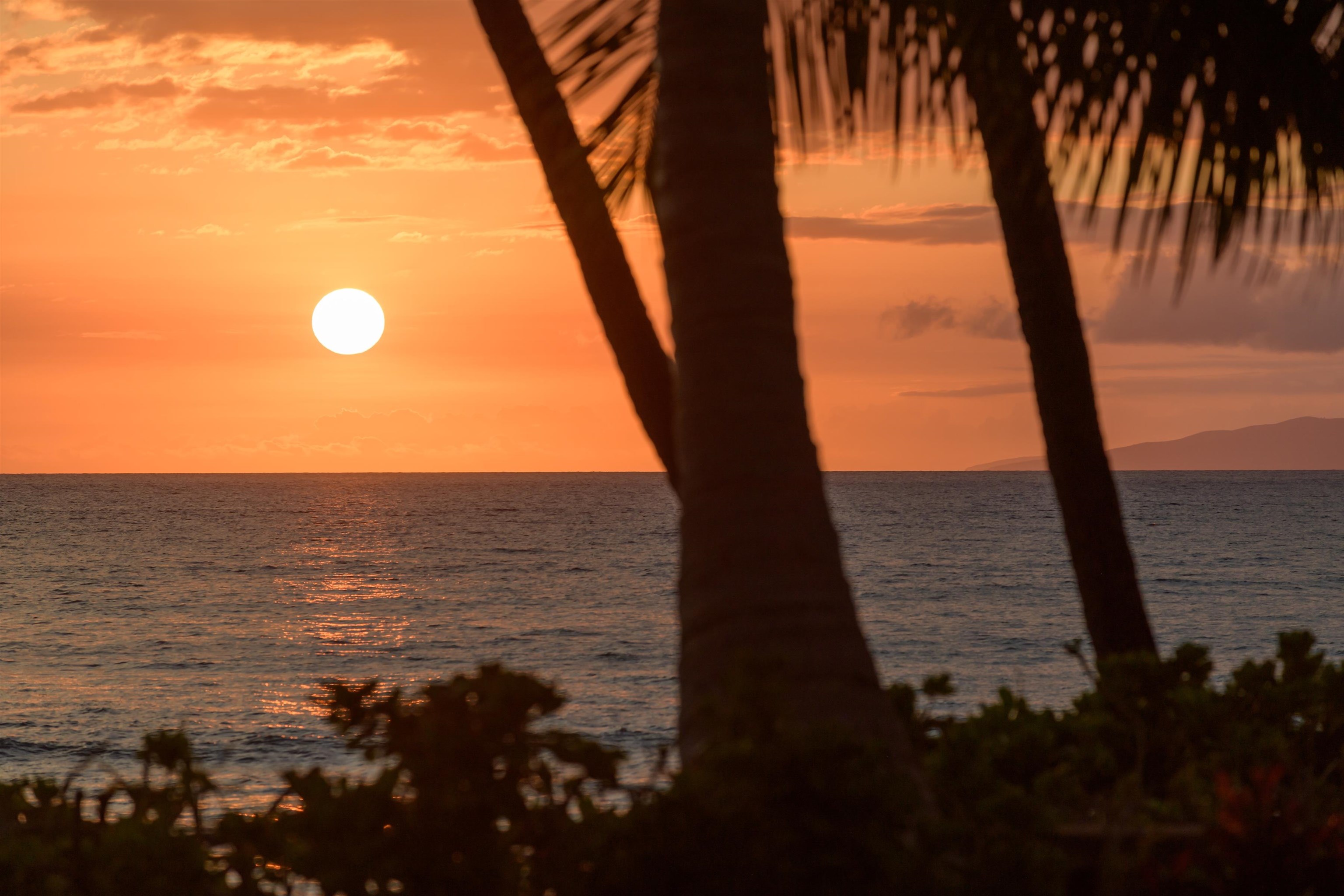 1536  Halama St Halama Street, Kihei home - photo 44 of 44
