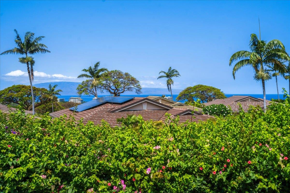 Vintage at Kaanapali condo # 54, Lahaina, Hawaii - photo 4 of 50