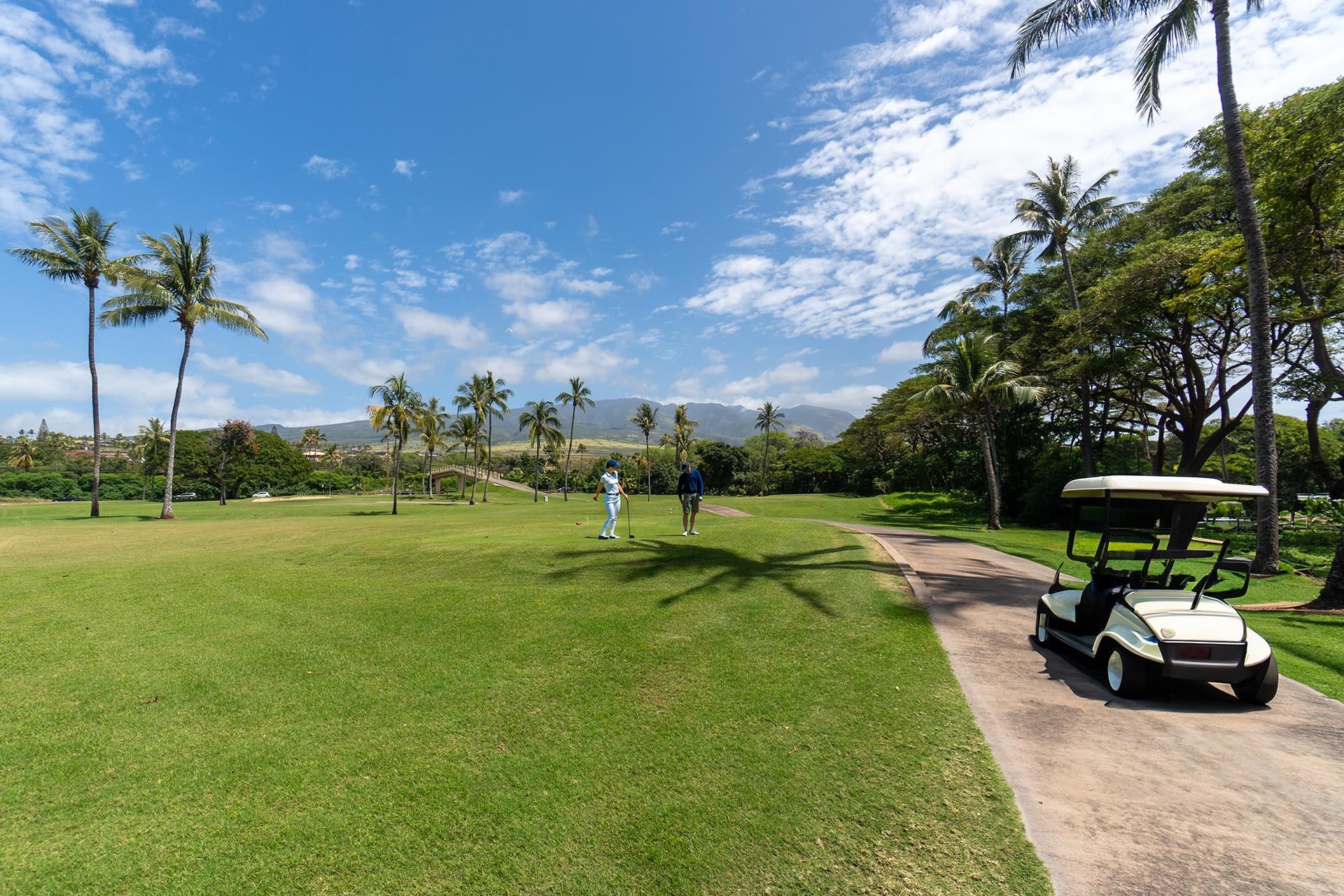 Vintage at Kaanapali condo # 54, Lahaina, Hawaii - photo 48 of 50