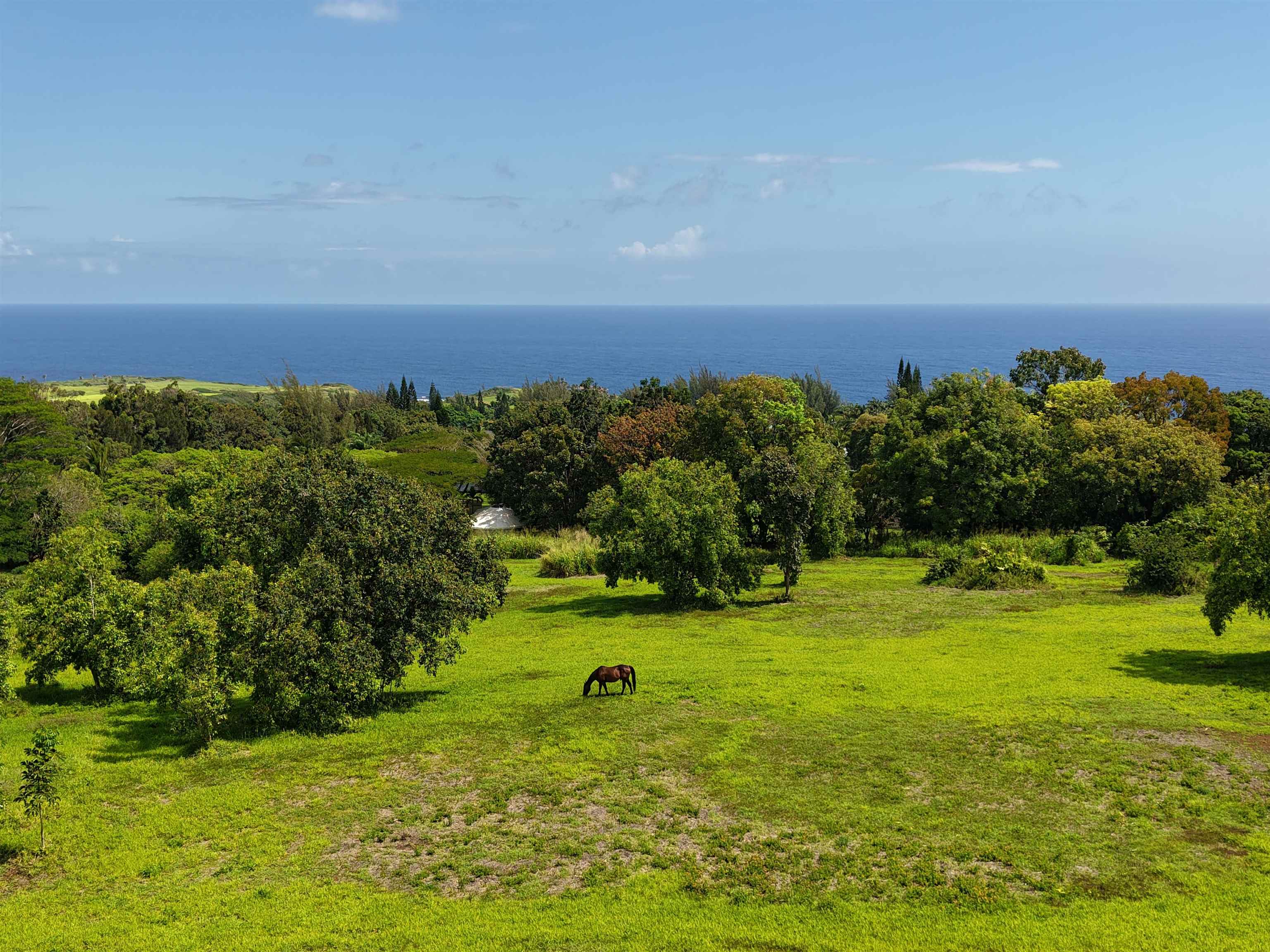 155 Manawai Pl  Haiku, Hi vacant land for sale - photo 2 of 15