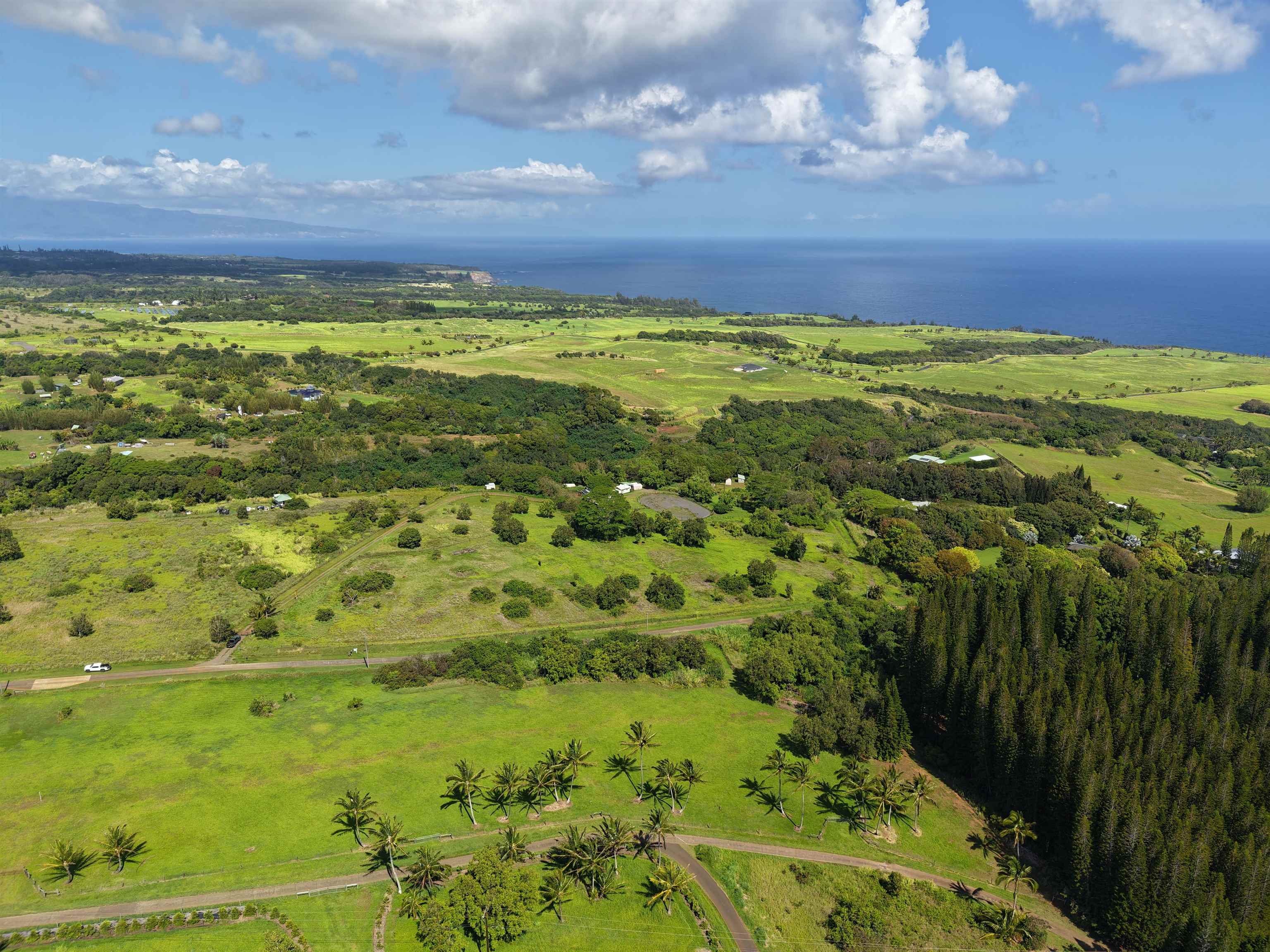 155 Manawai Pl  Haiku, Hi vacant land for sale - photo 11 of 15