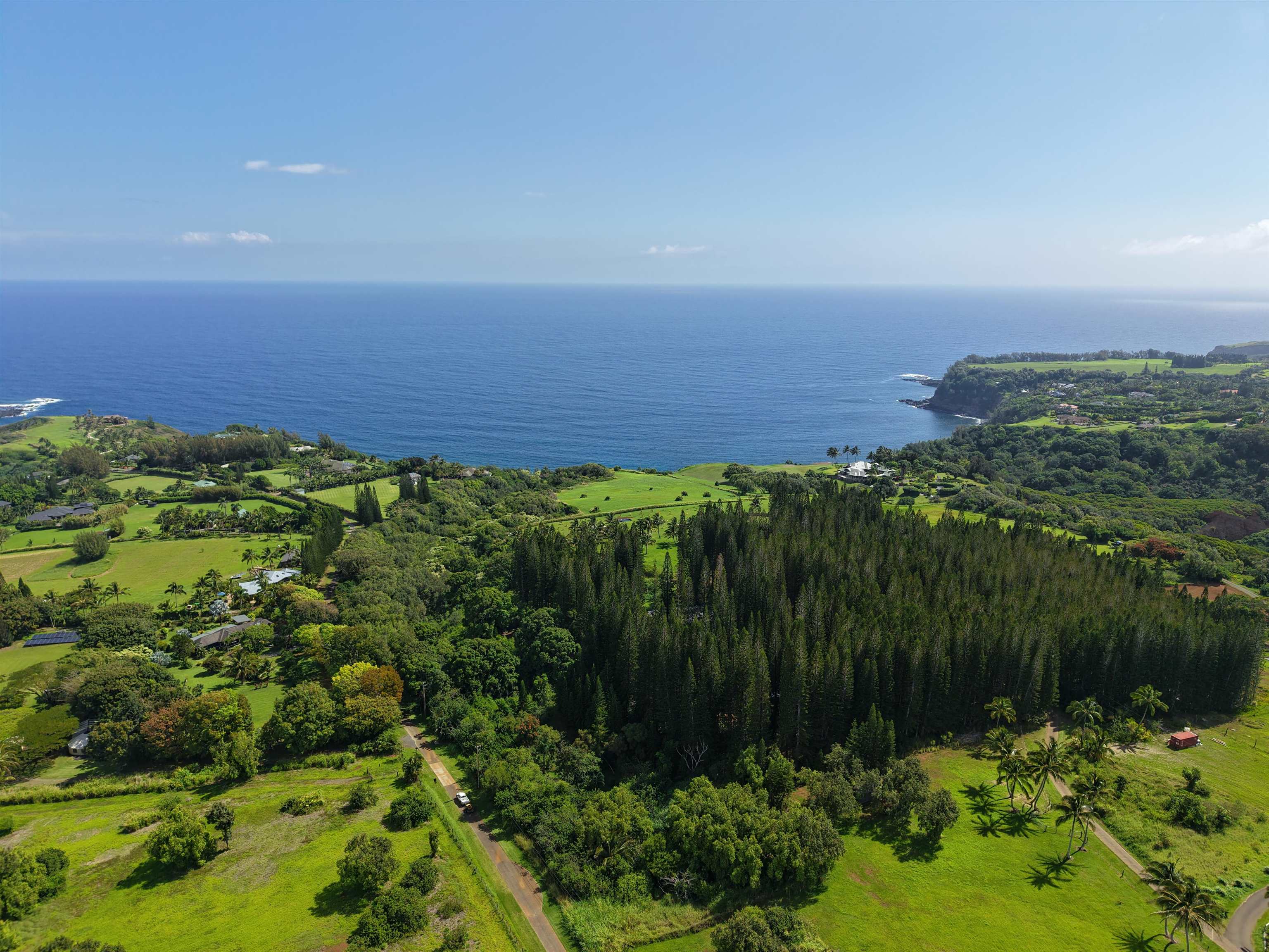 155 Manawai Pl  Haiku, Hi vacant land for sale - photo 12 of 15