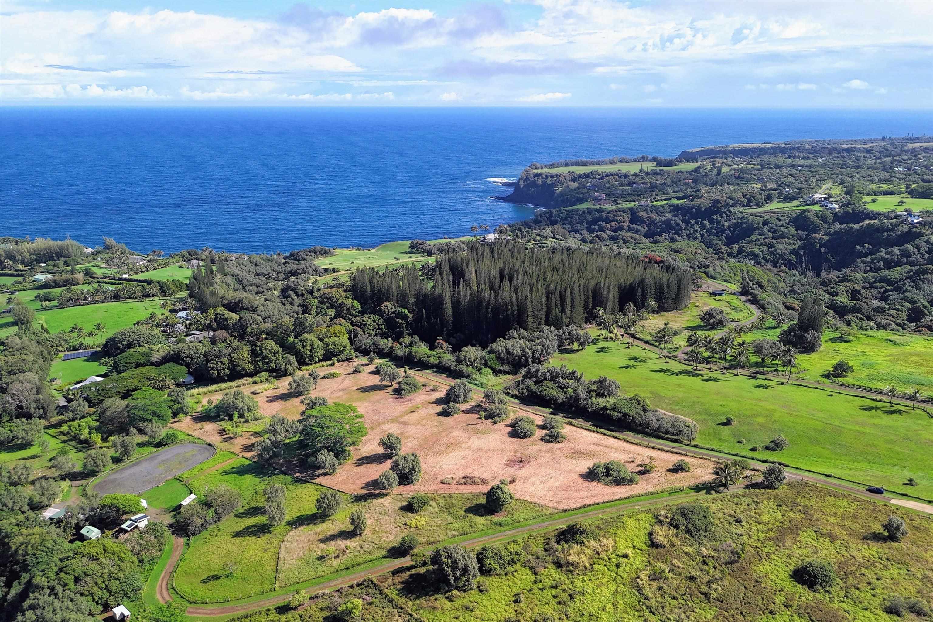 155 Manawai Pl  Haiku, Hi vacant land for sale - photo 5 of 15