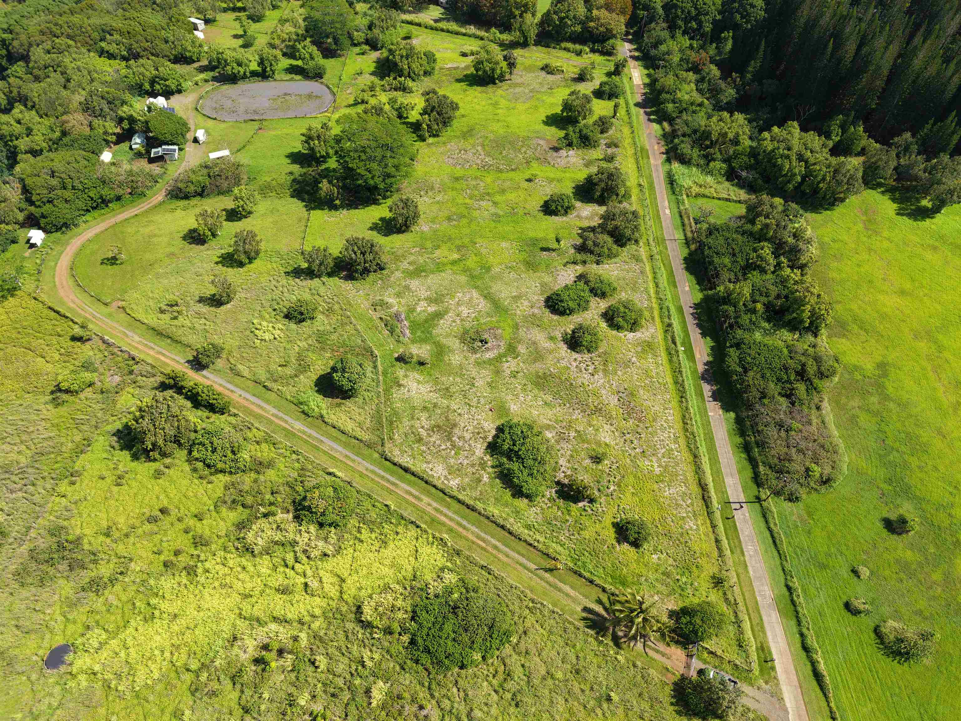 155 Manawai Pl  Haiku, Hi vacant land for sale - photo 8 of 15