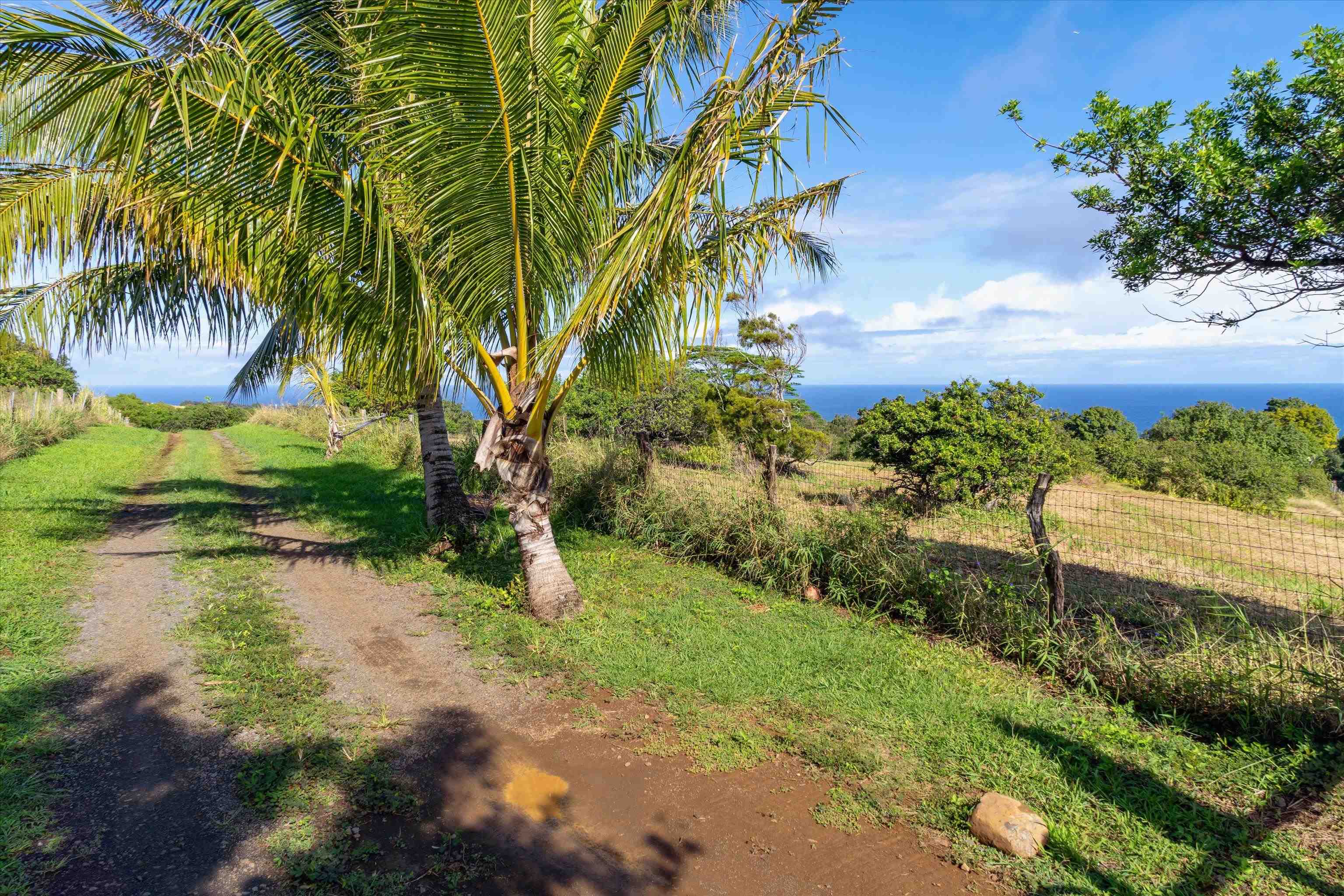 155 Manawai Pl Pl  Haiku, Hi vacant land for sale - photo 12 of 17