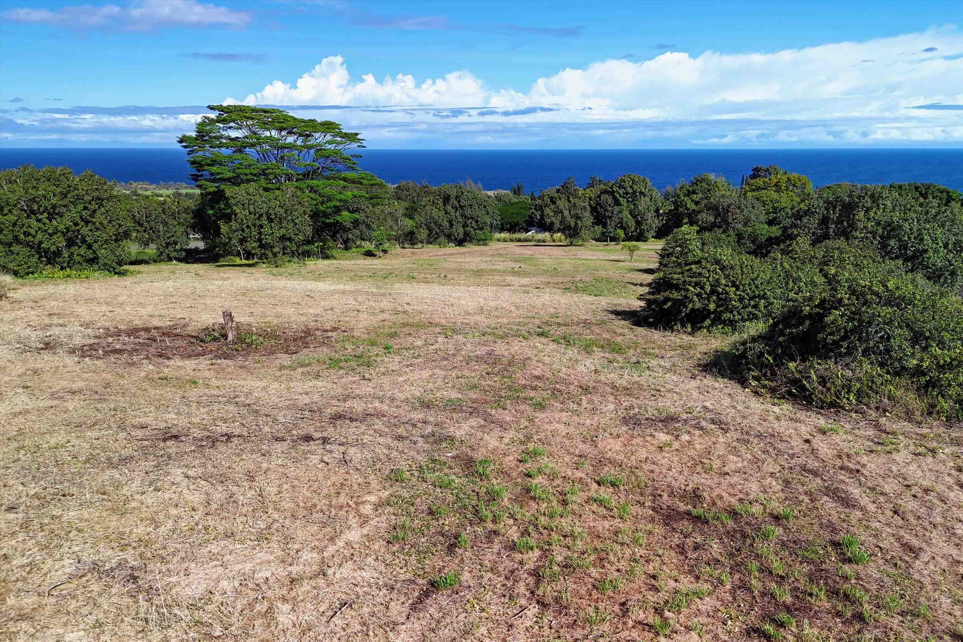 155 Manawai Pl Pl  Haiku, Hi vacant land for sale - photo 14 of 17