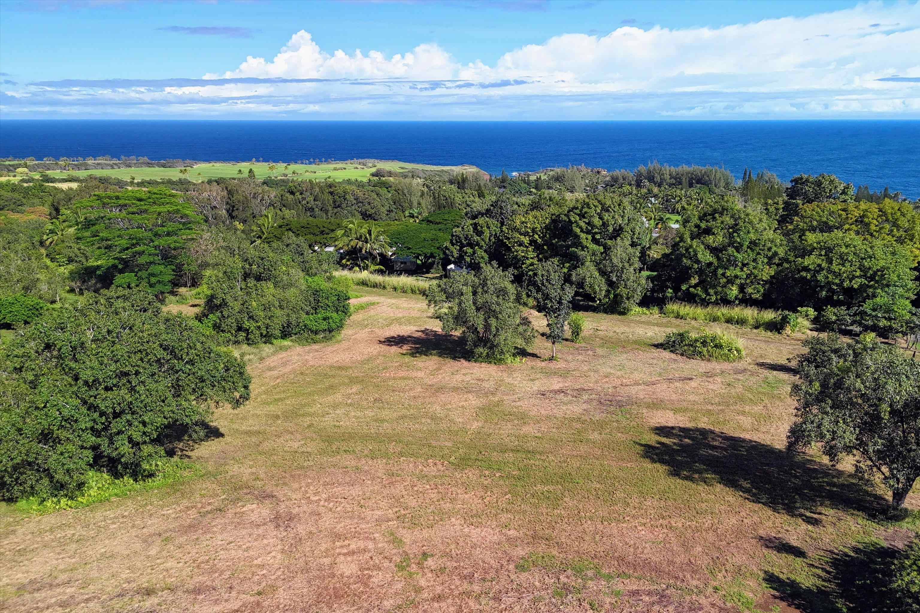 155 Manawai Pl Pl  Haiku, Hi vacant land for sale - photo 17 of 17