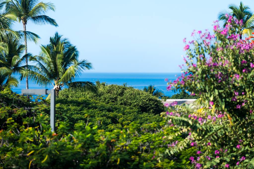 Grand Champions condo # 59, Kihei, Hawaii - photo 11 of 30