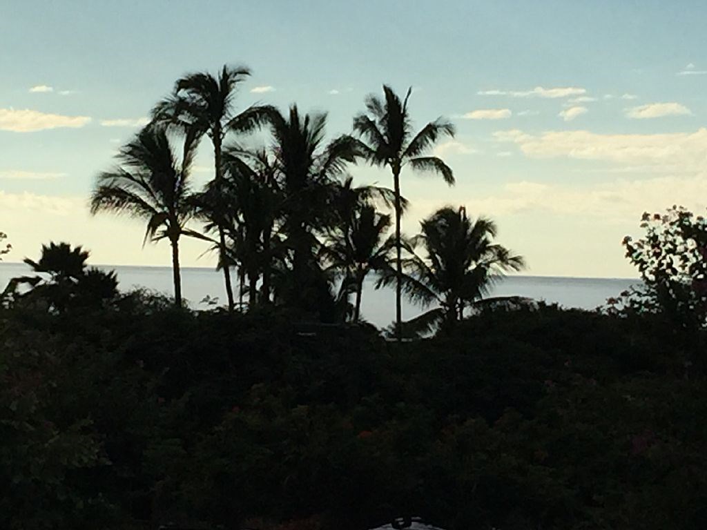 Grand Champions condo # 59, Kihei, Hawaii - photo 14 of 30