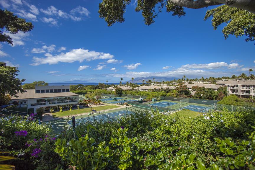 Grand Champions condo # 59, Kihei, Hawaii - photo 27 of 30