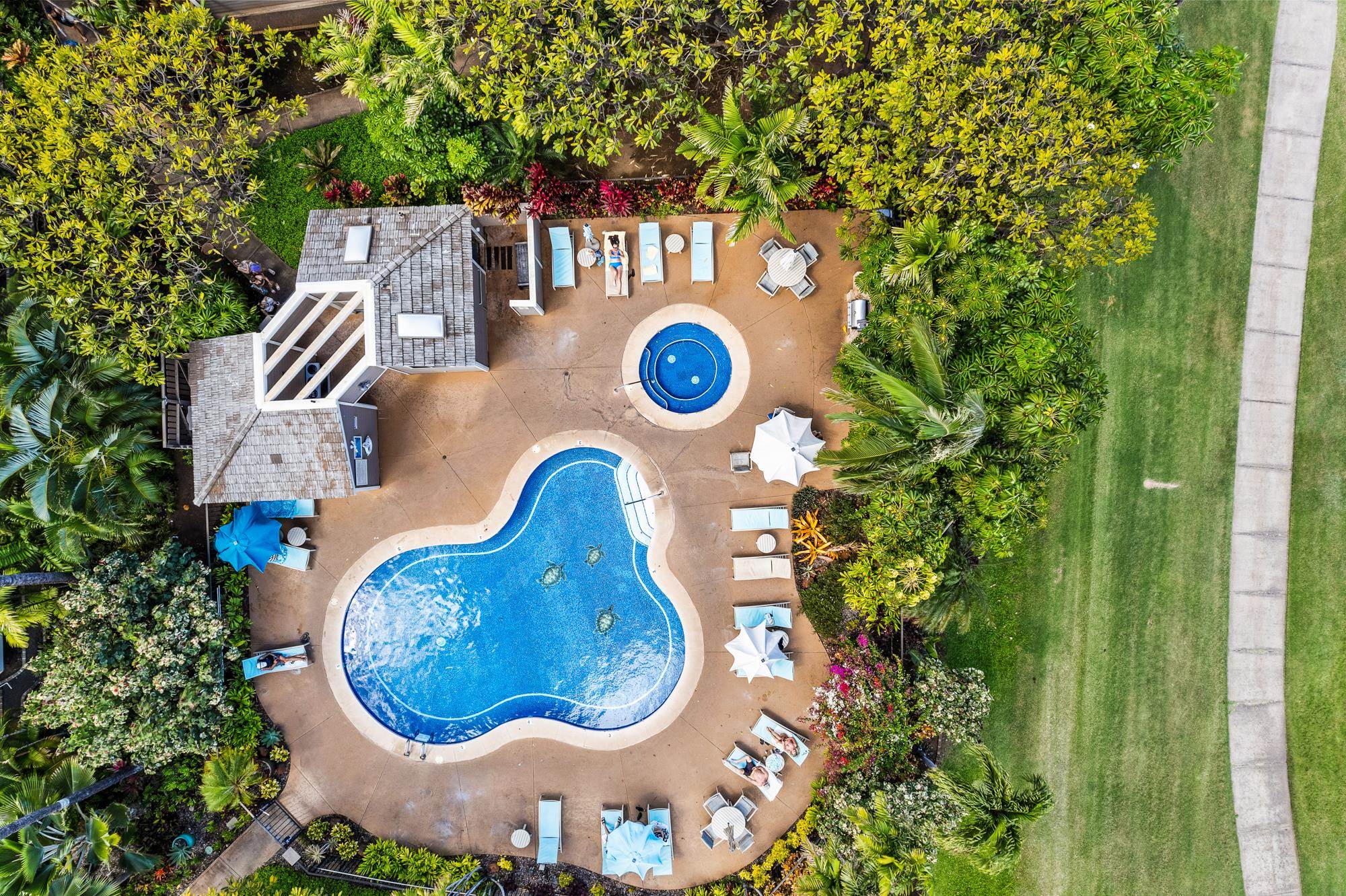 Grand Champions condo # 10, Kihei, Hawaii - photo 28 of 50