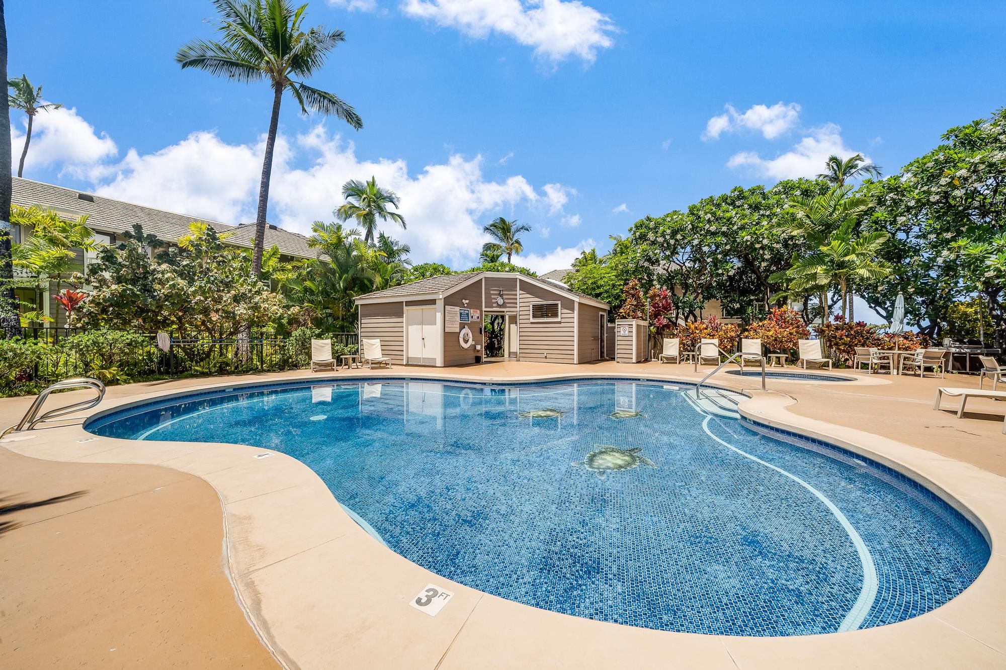 Grand Champions condo # 10, Kihei, Hawaii - photo 29 of 50
