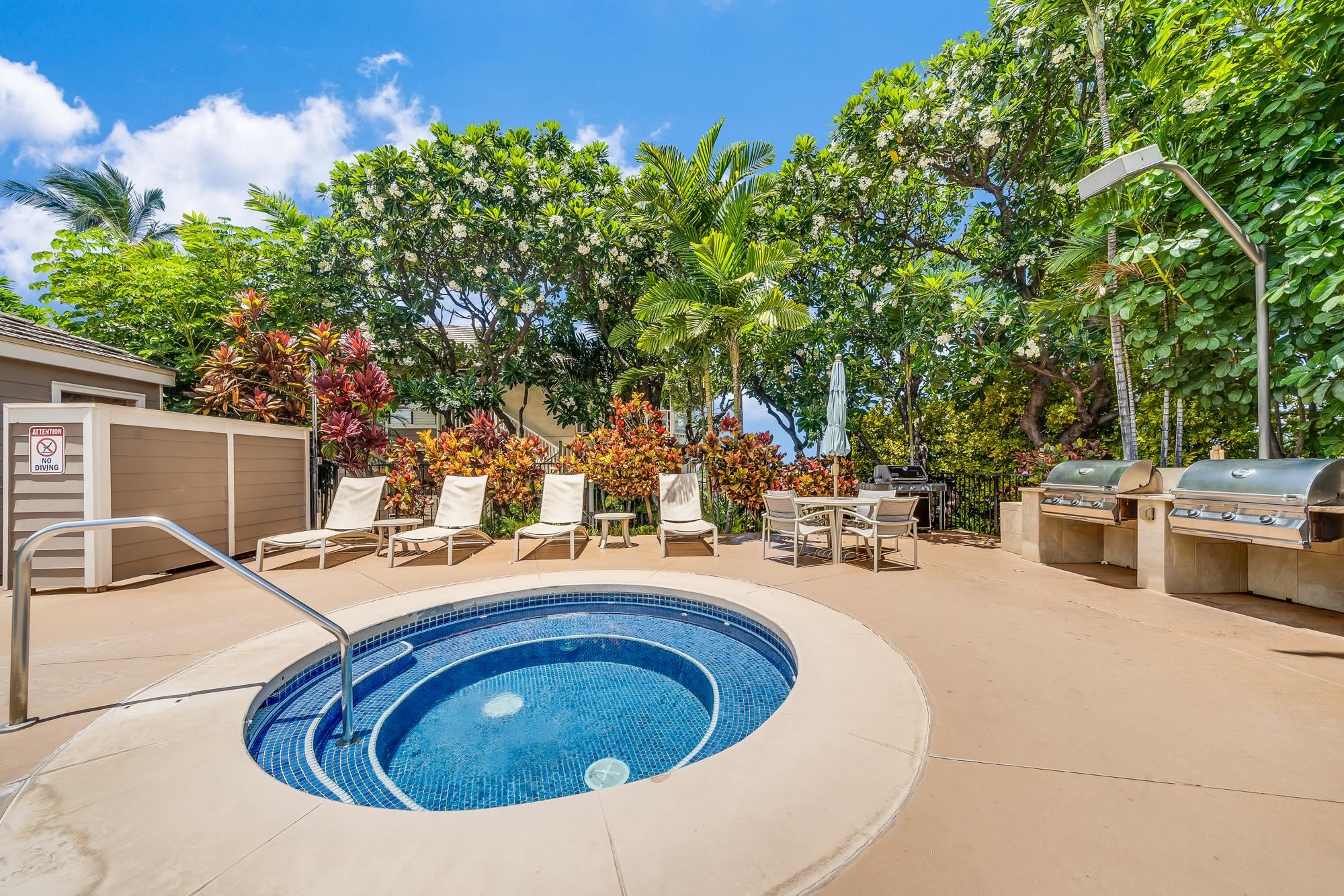 Grand Champions condo # 10, Kihei, Hawaii - photo 32 of 50