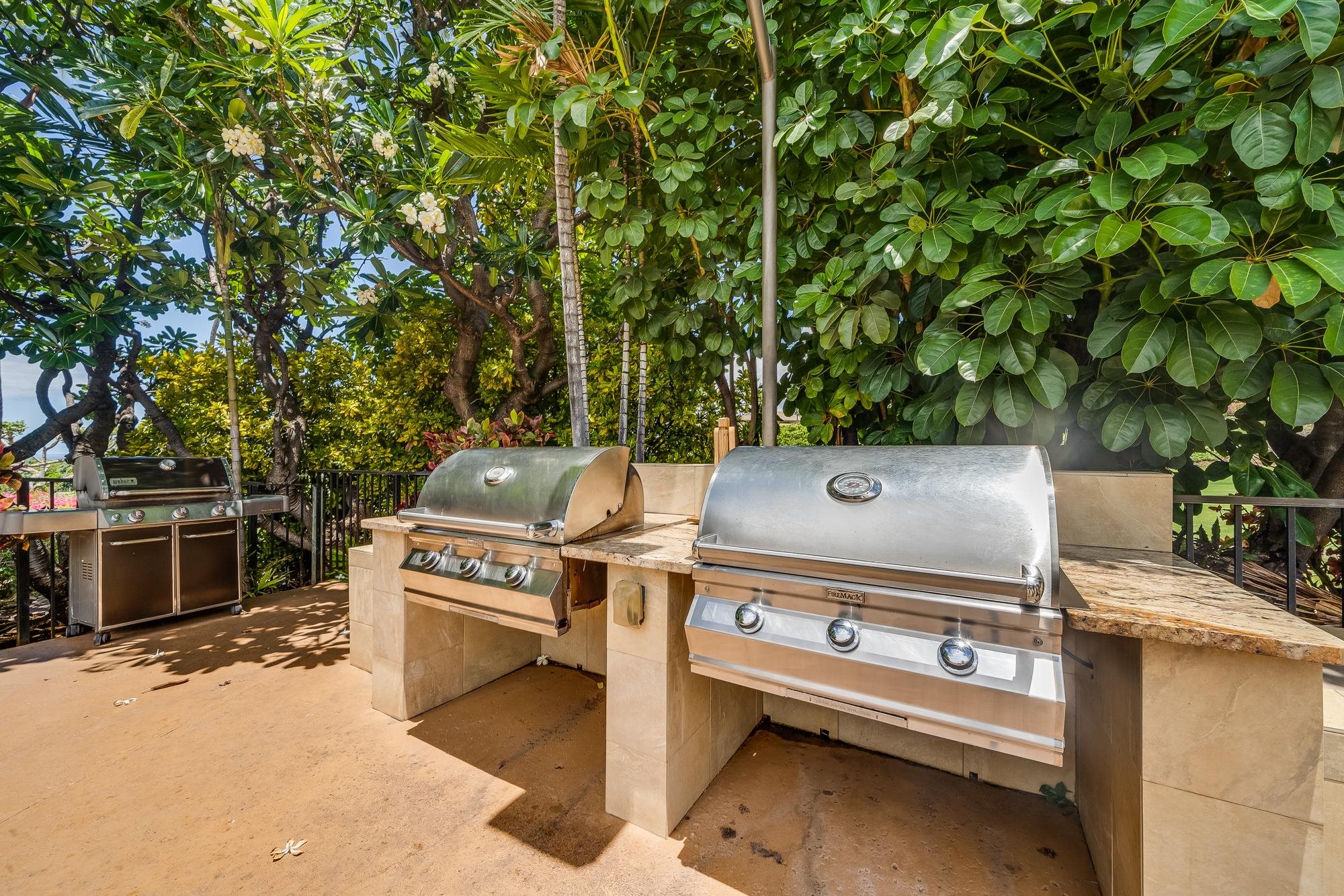 Grand Champions condo # 10, Kihei, Hawaii - photo 36 of 50