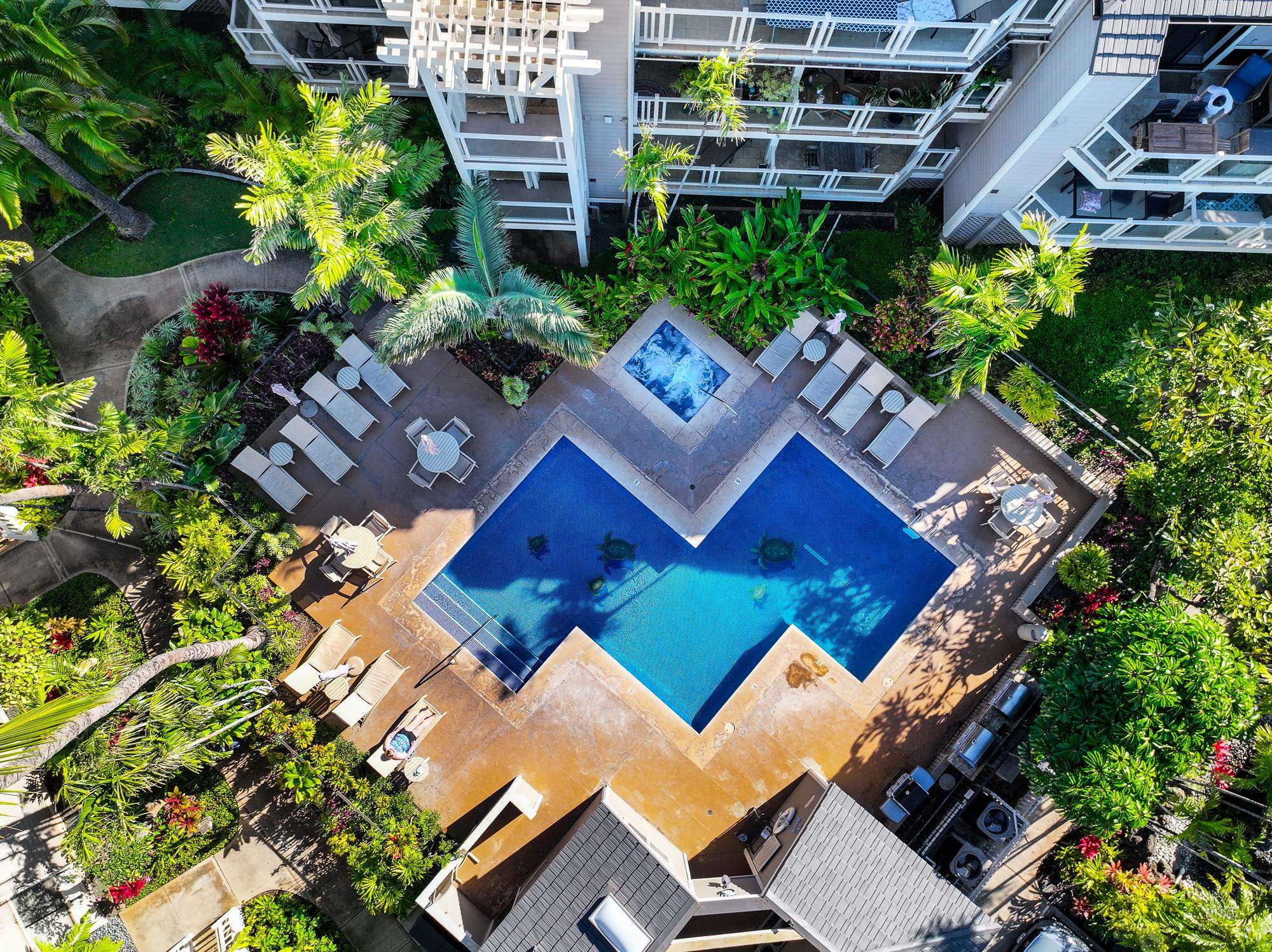 Grand Champions condo # 10, Kihei, Hawaii - photo 40 of 50