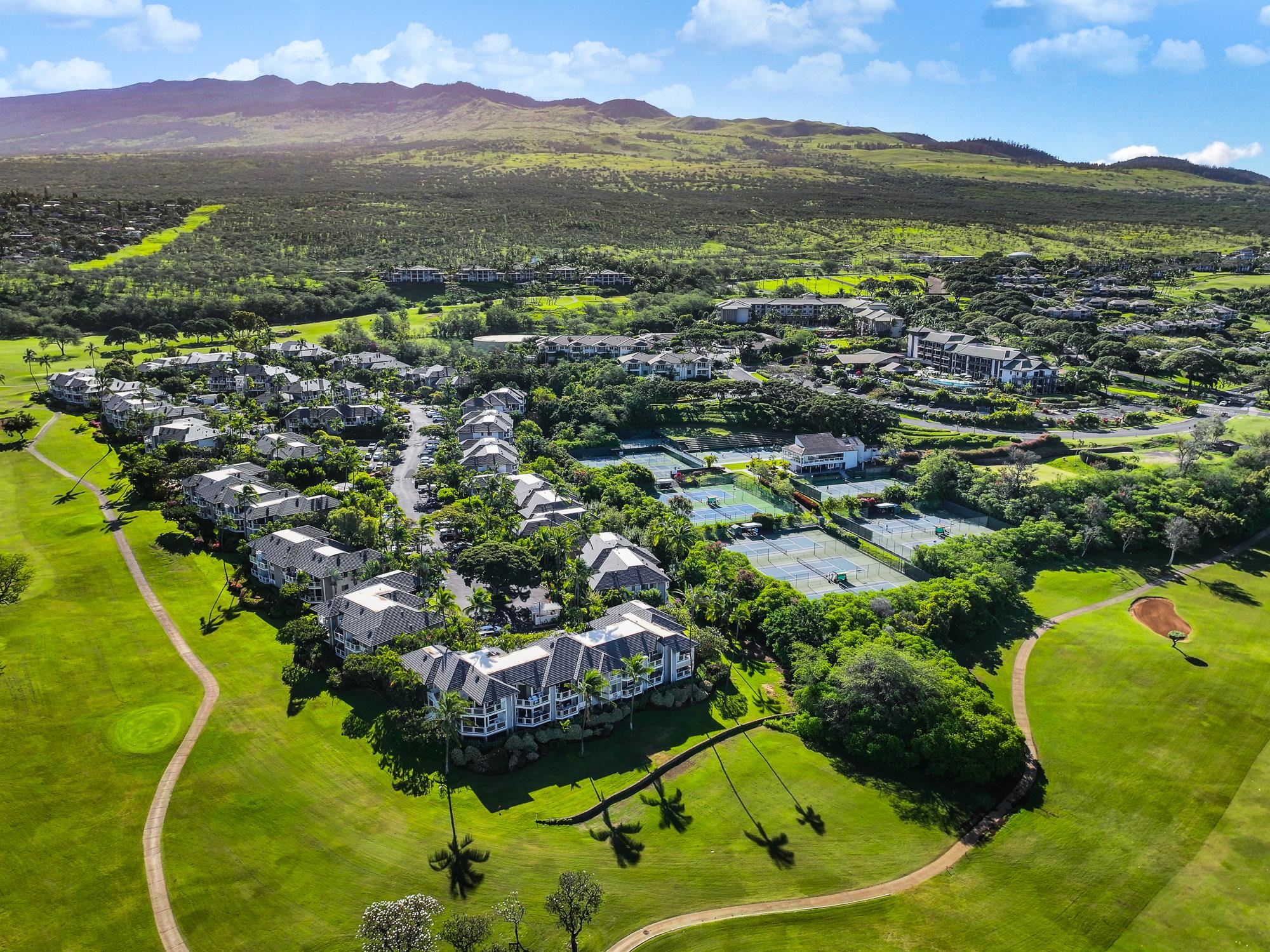 Grand Champions condo # 10, Kihei, Hawaii - photo 41 of 50