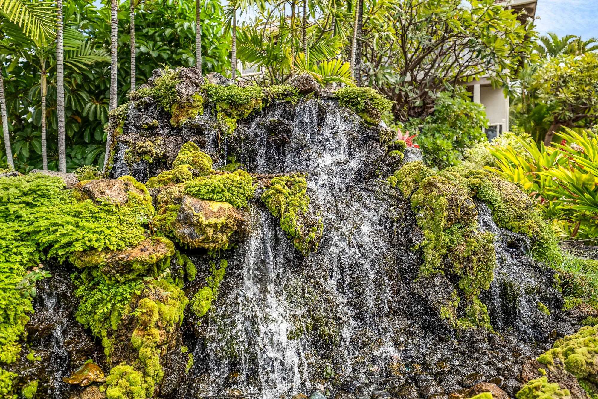 Grand Champions condo # 10, Kihei, Hawaii - photo 49 of 50