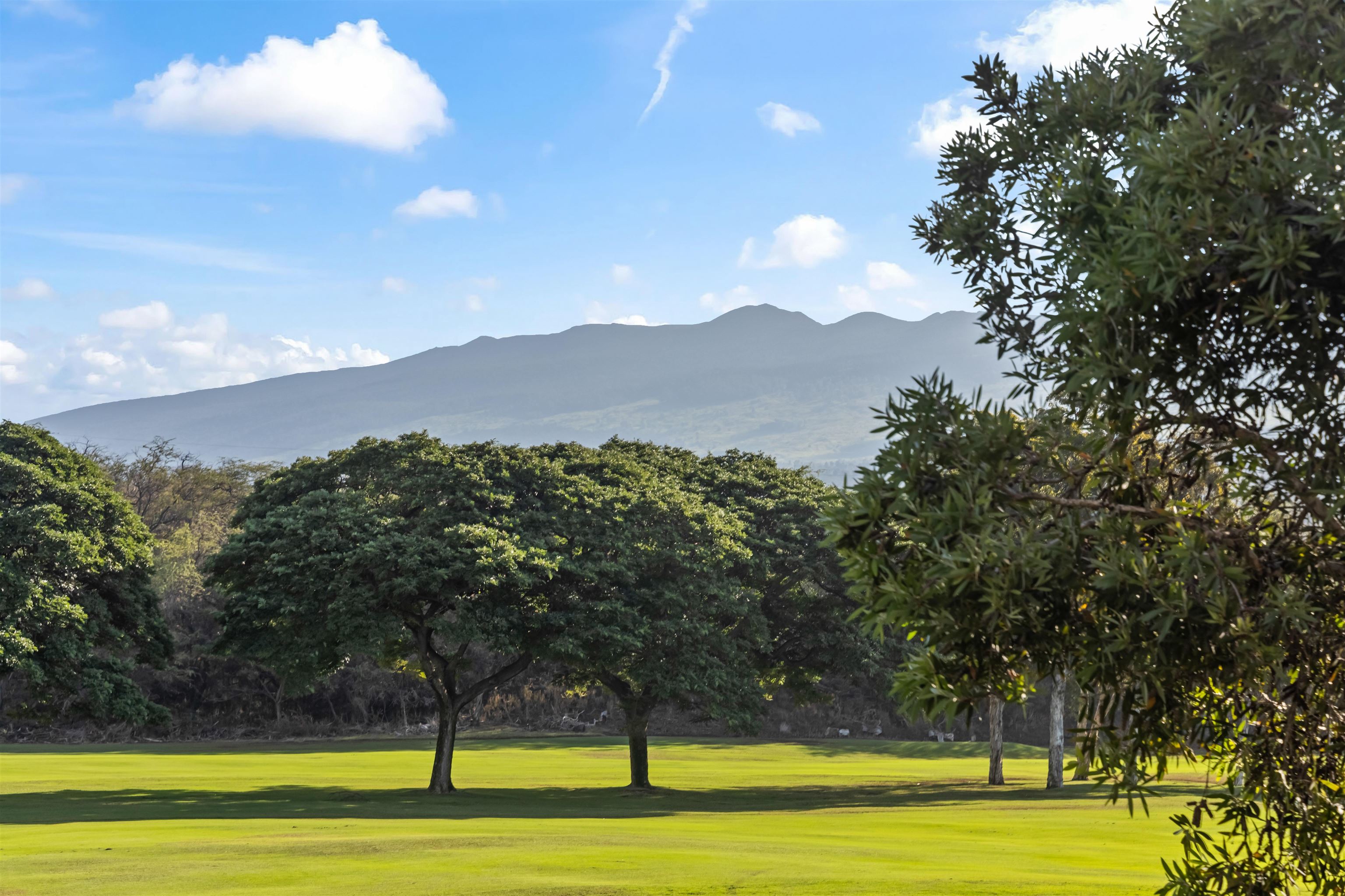 Grand Champions condo # 104, Kihei, Hawaii - photo 7 of 36