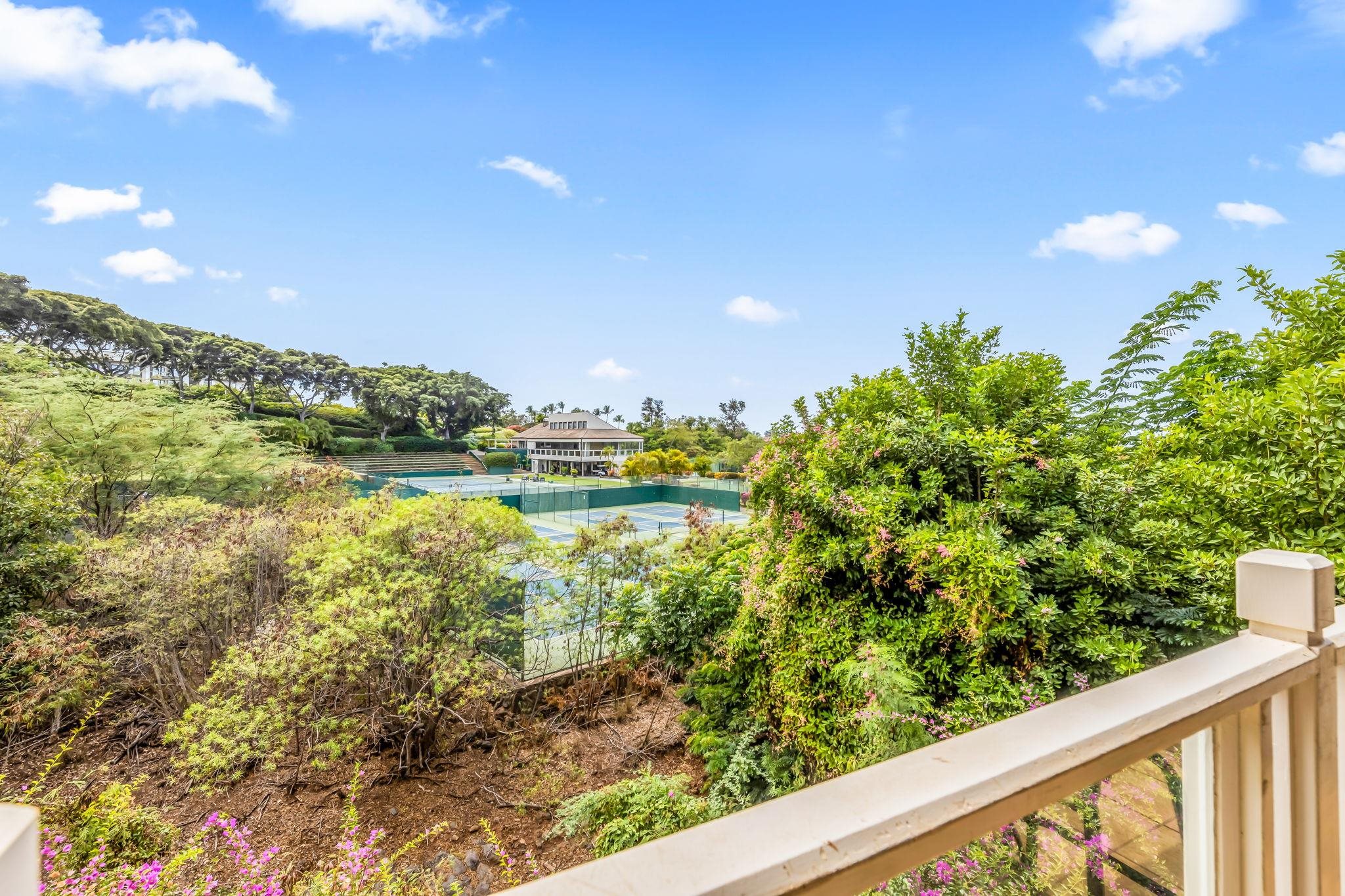 Grand Champions condo # 111, Kihei, Hawaii - photo 29 of 37