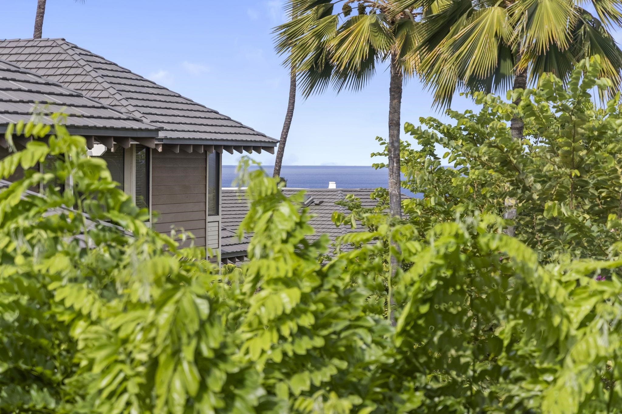 Grand Champions condo # 12, Kihei, Hawaii - photo 19 of 50