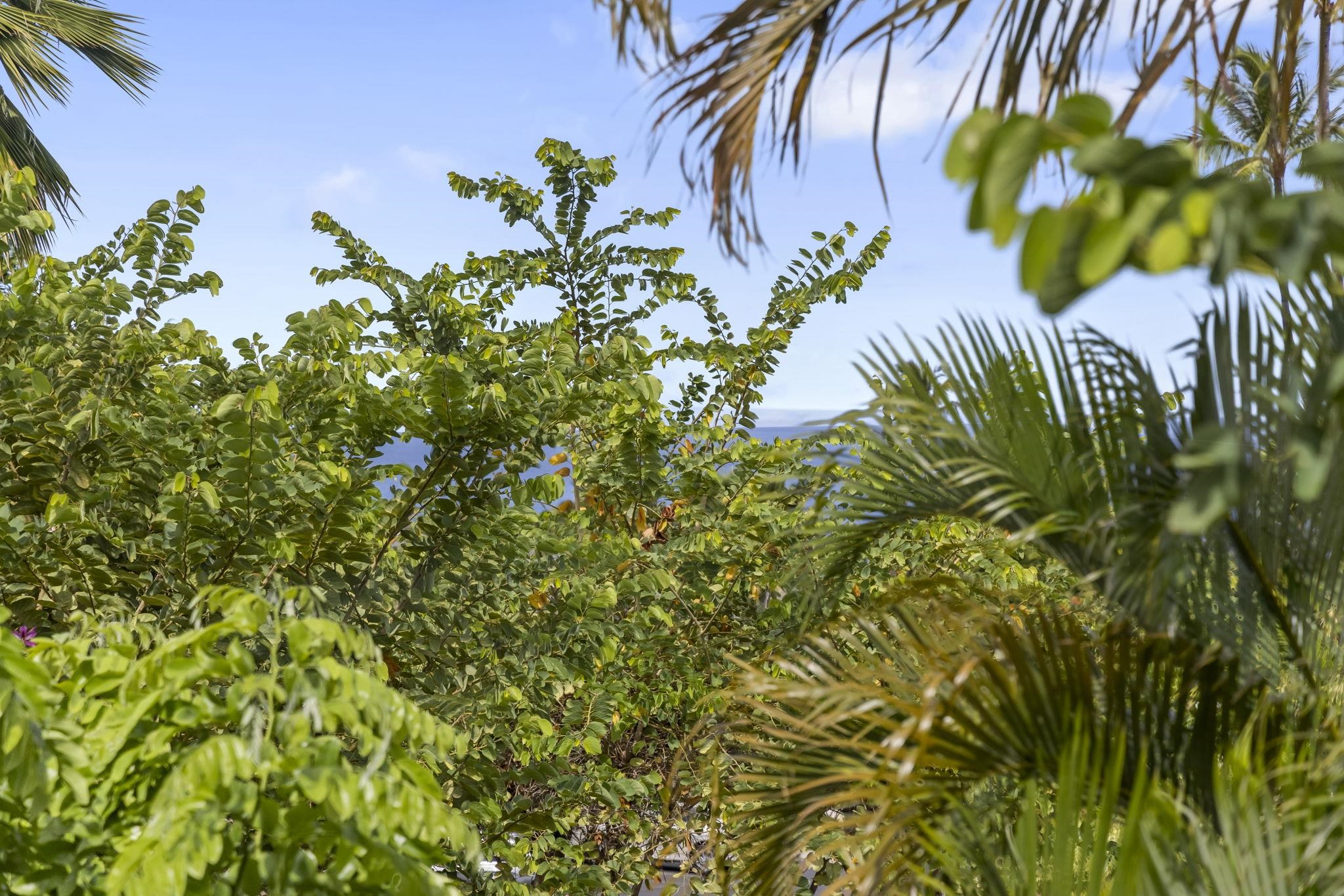 Grand Champions condo # 12, Kihei, Hawaii - photo 20 of 50