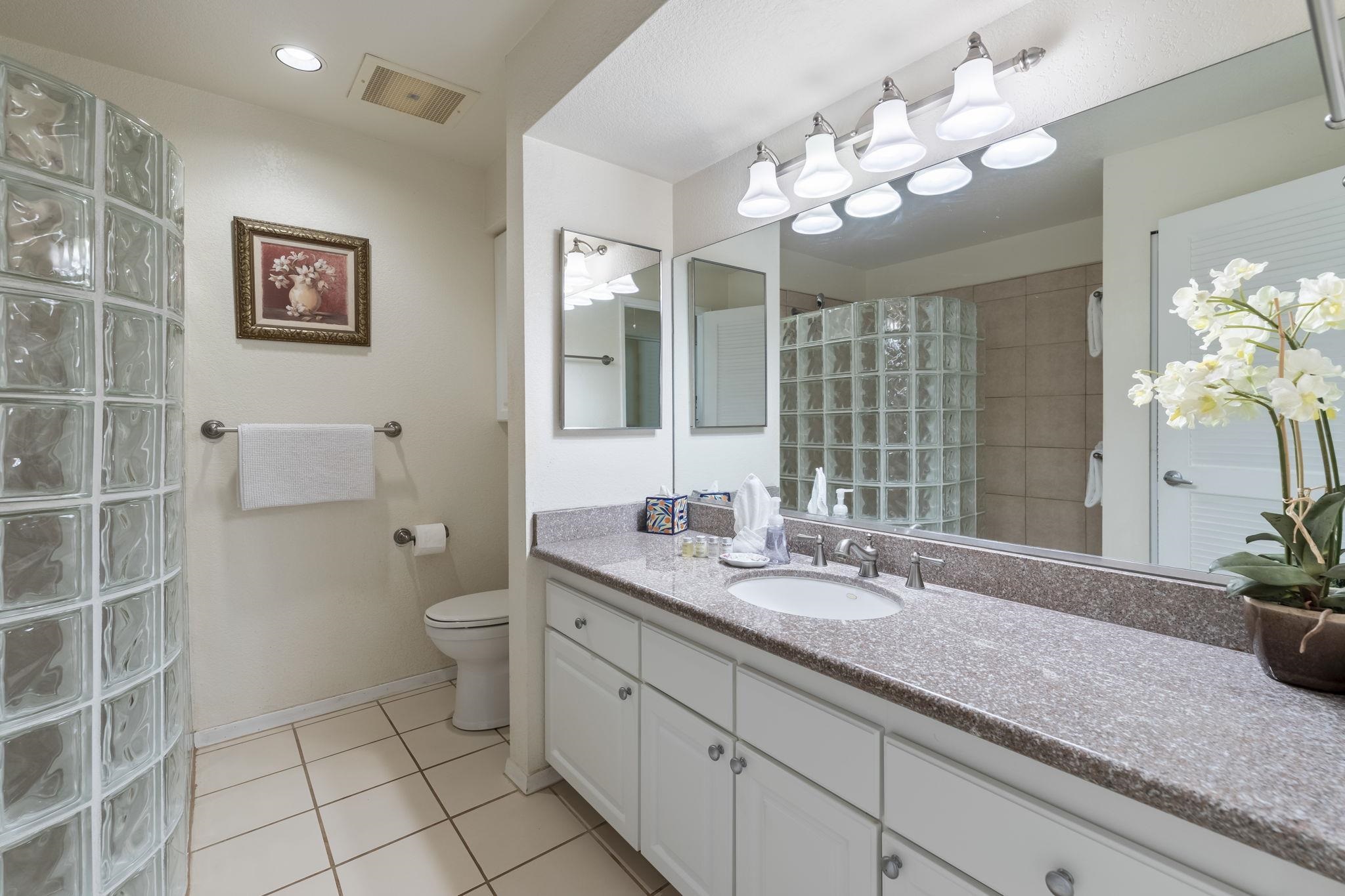 Grand Champions condo # 12, Kihei, Hawaii - photo 25 of 50