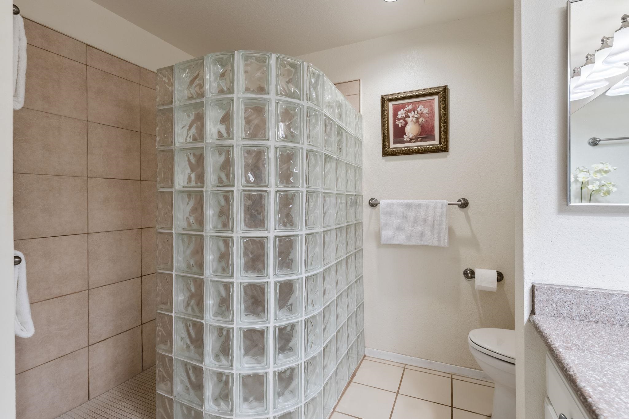 Grand Champions condo # 12, Kihei, Hawaii - photo 26 of 50