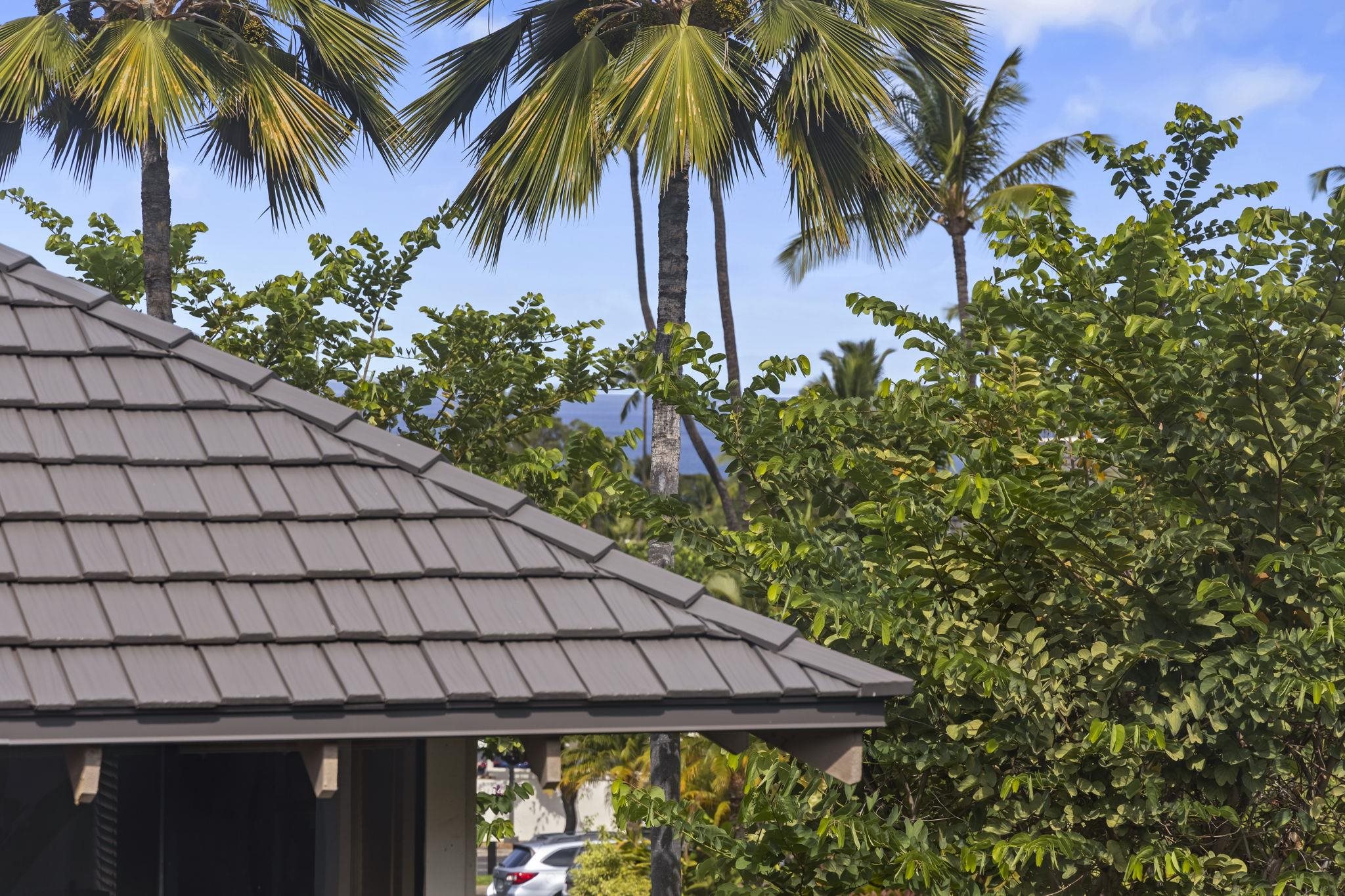 Grand Champions condo # 12, Kihei, Hawaii - photo 31 of 50