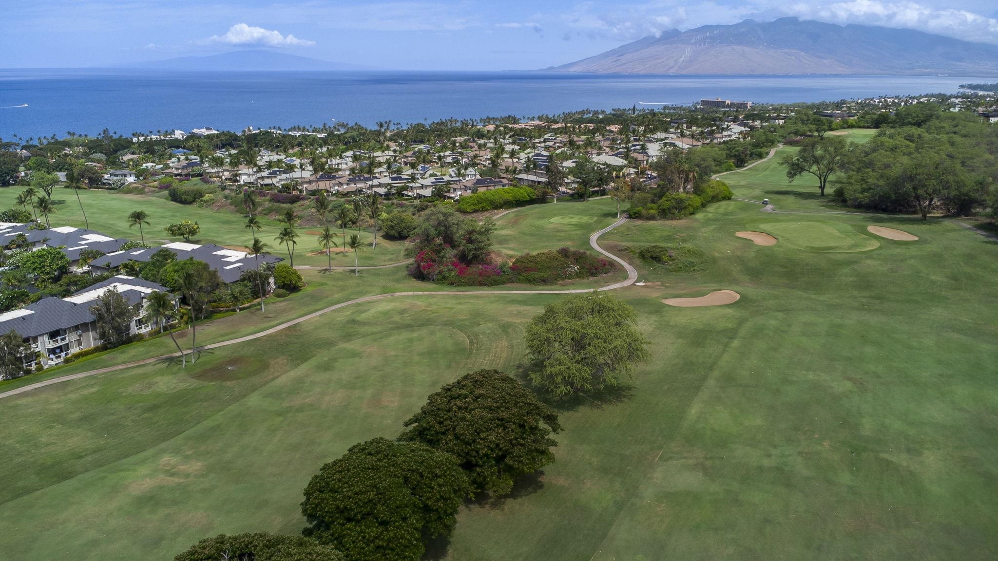 Grand Champions condo # 12, Kihei, Hawaii - photo 45 of 50