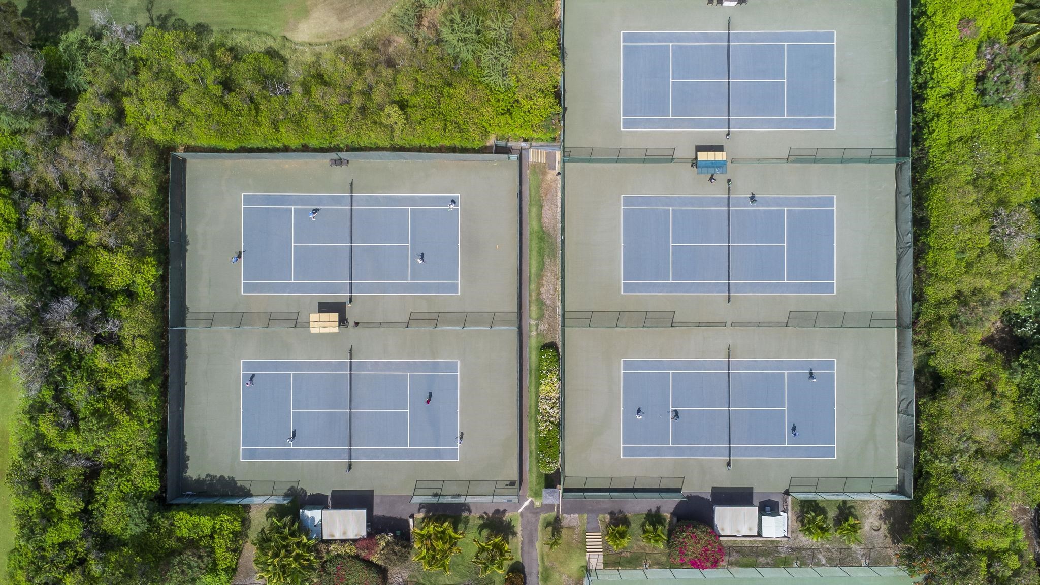 Grand Champions condo # 12, Kihei, Hawaii - photo 47 of 50