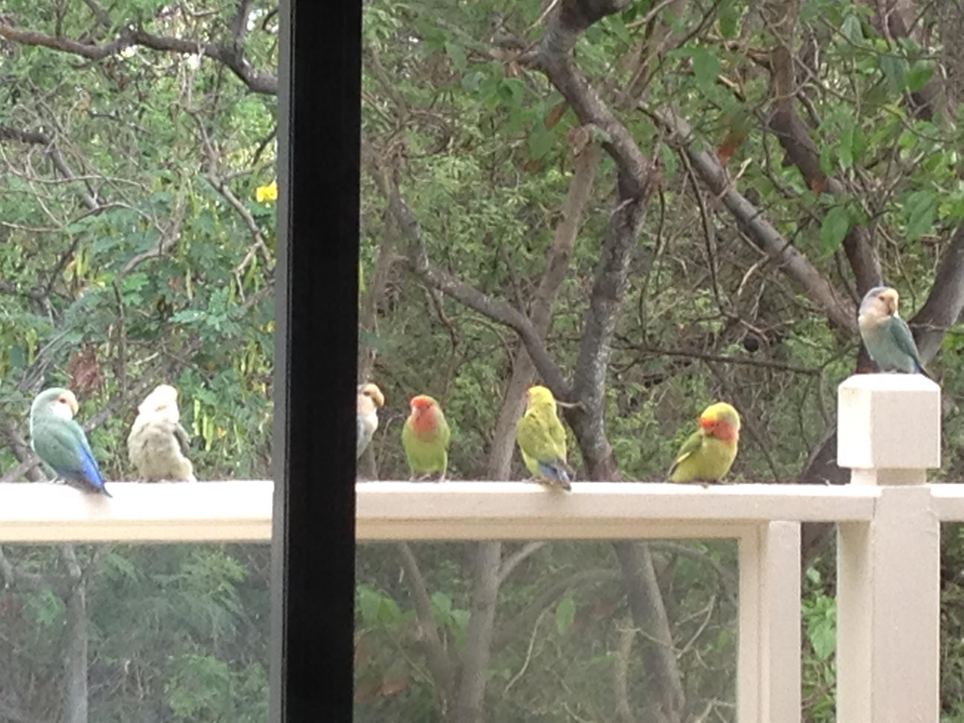 Grand Champions condo # 12, Kihei, Hawaii - photo 8 of 50