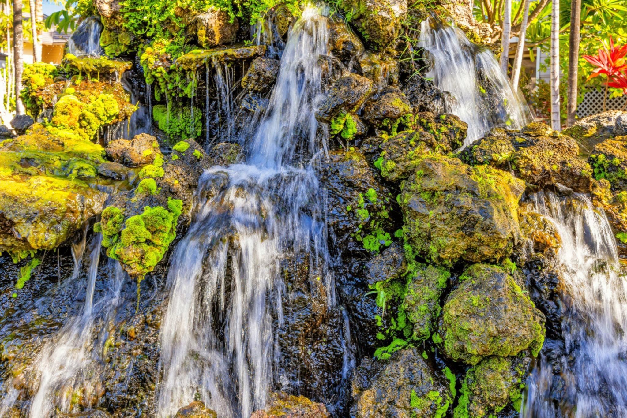 Grand Champions condo # 134, Kihei, Hawaii - photo 38 of 50
