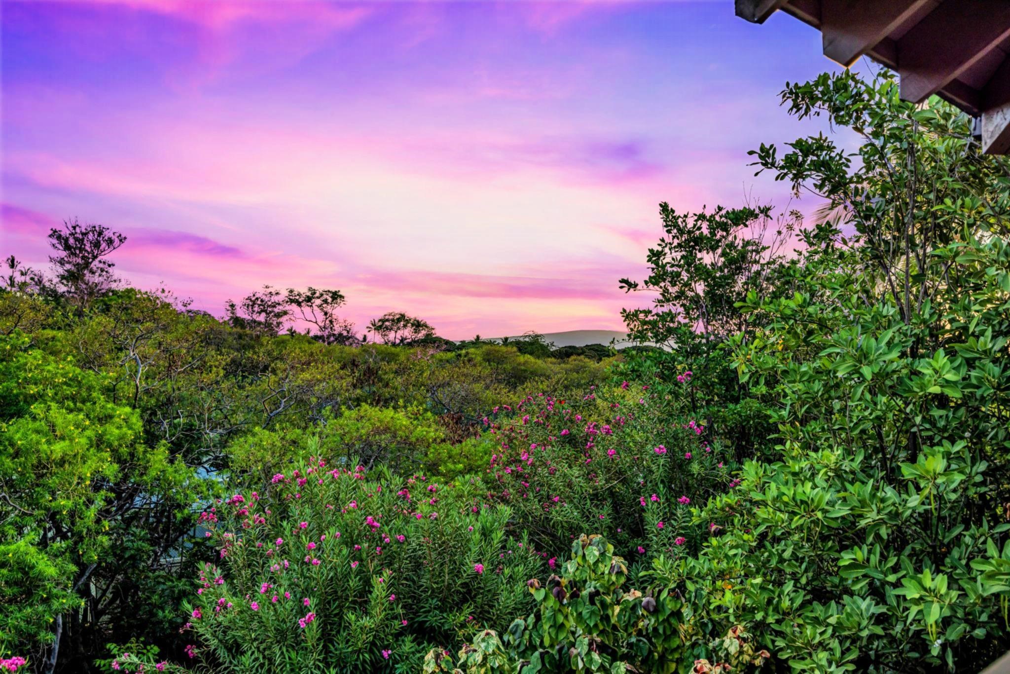 Grand Champions condo # 134, Kihei, Hawaii - photo 43 of 50
