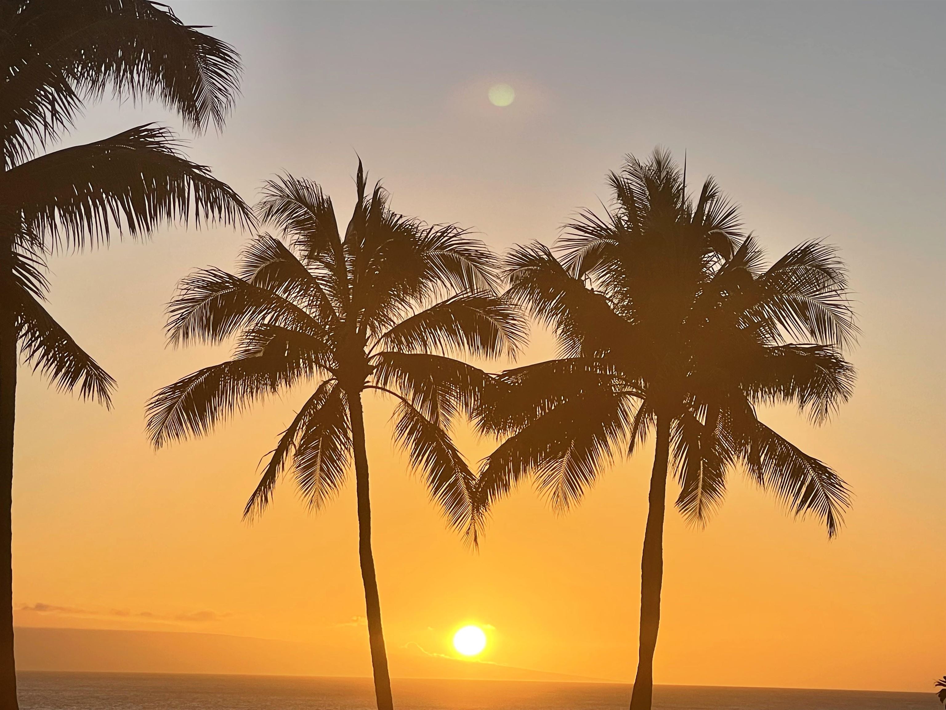 Grand Champions condo # 134, Kihei, Hawaii - photo 49 of 50