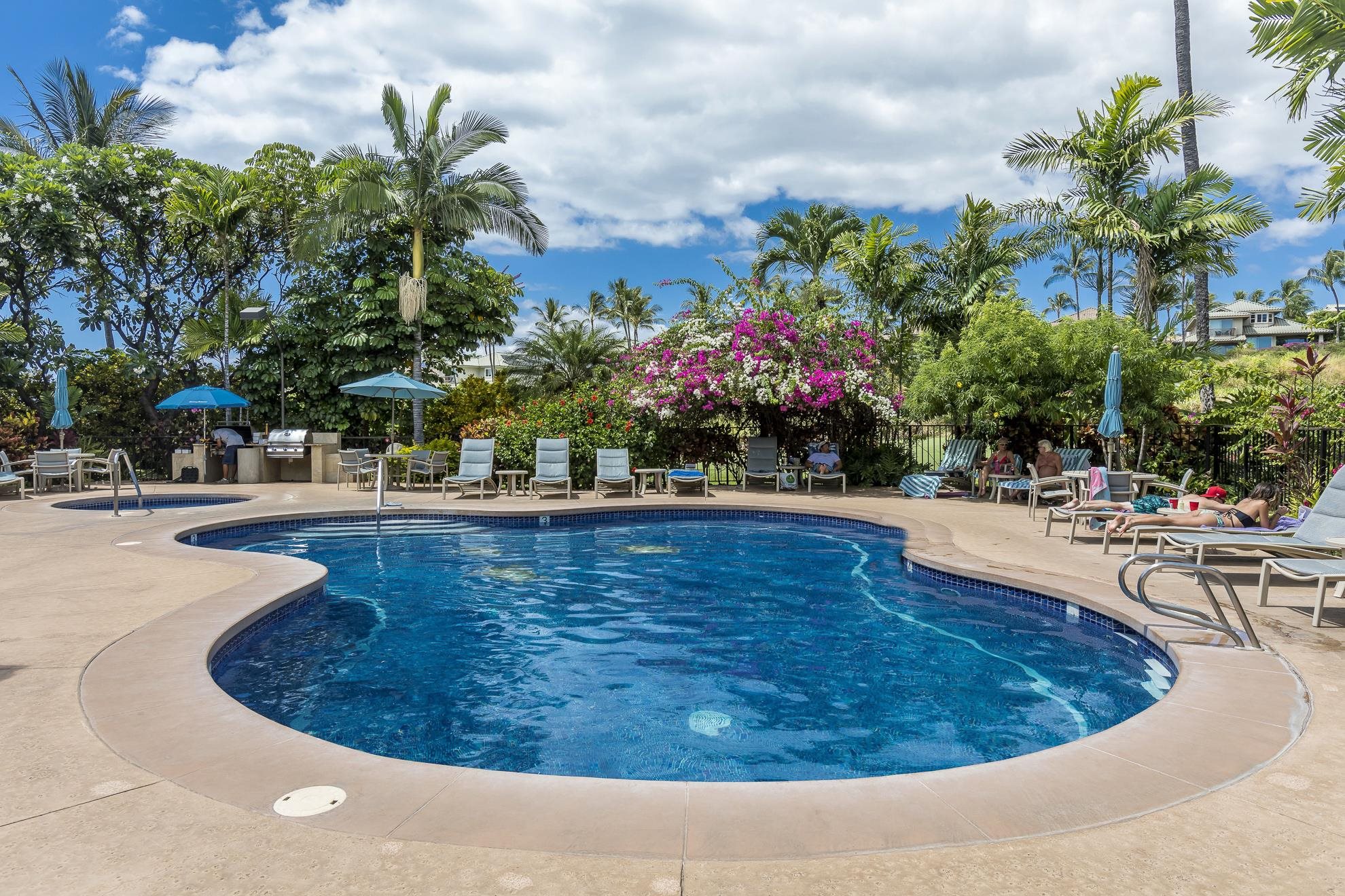 Grand Champions condo # 136, Kihei, Hawaii - photo 21 of 25