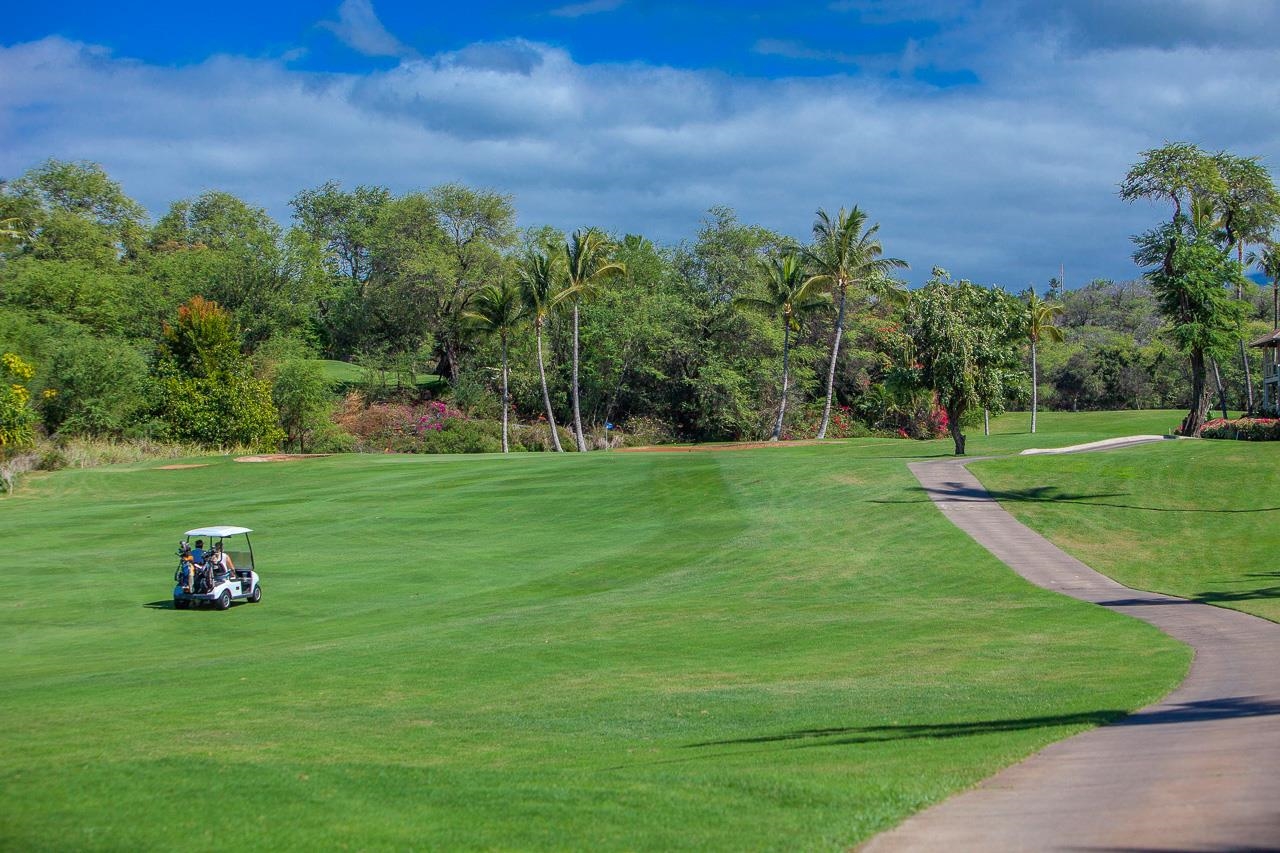 Grand Champions condo # 140, Kihei, Hawaii - photo 42 of 43